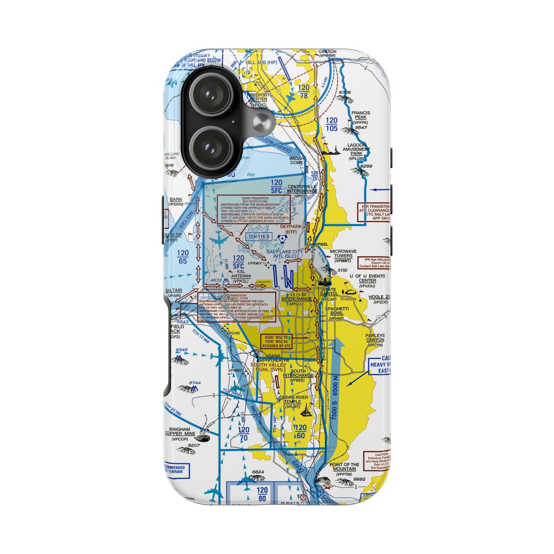 Salt Lake City Flyway Chart tough phone cases