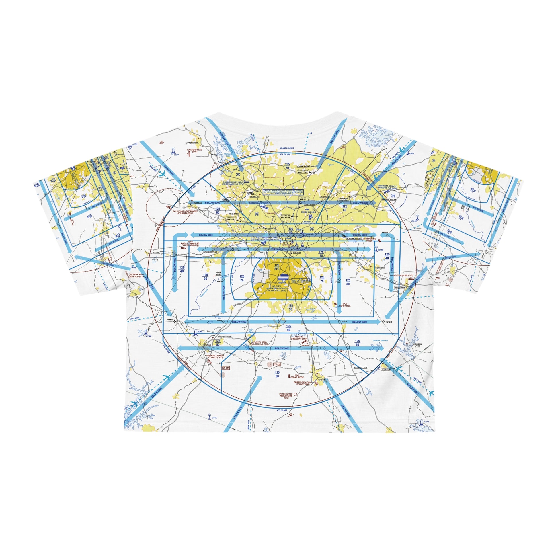 Atlanta Flyway Chart crop tee