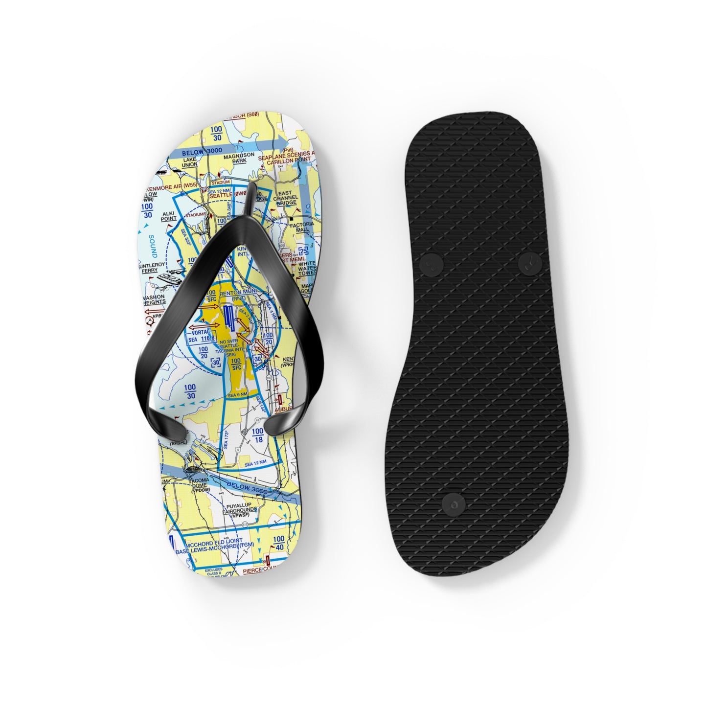 Aeronautical Chart Flip-Flops (SEA Flyway Chart)