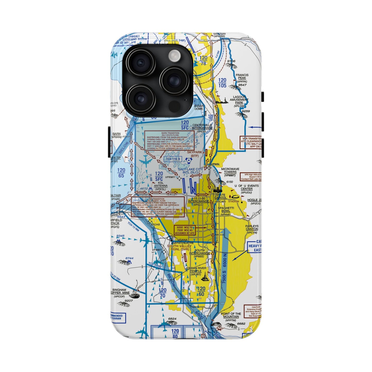 Salt Lake City Flyway Chart tough phone cases