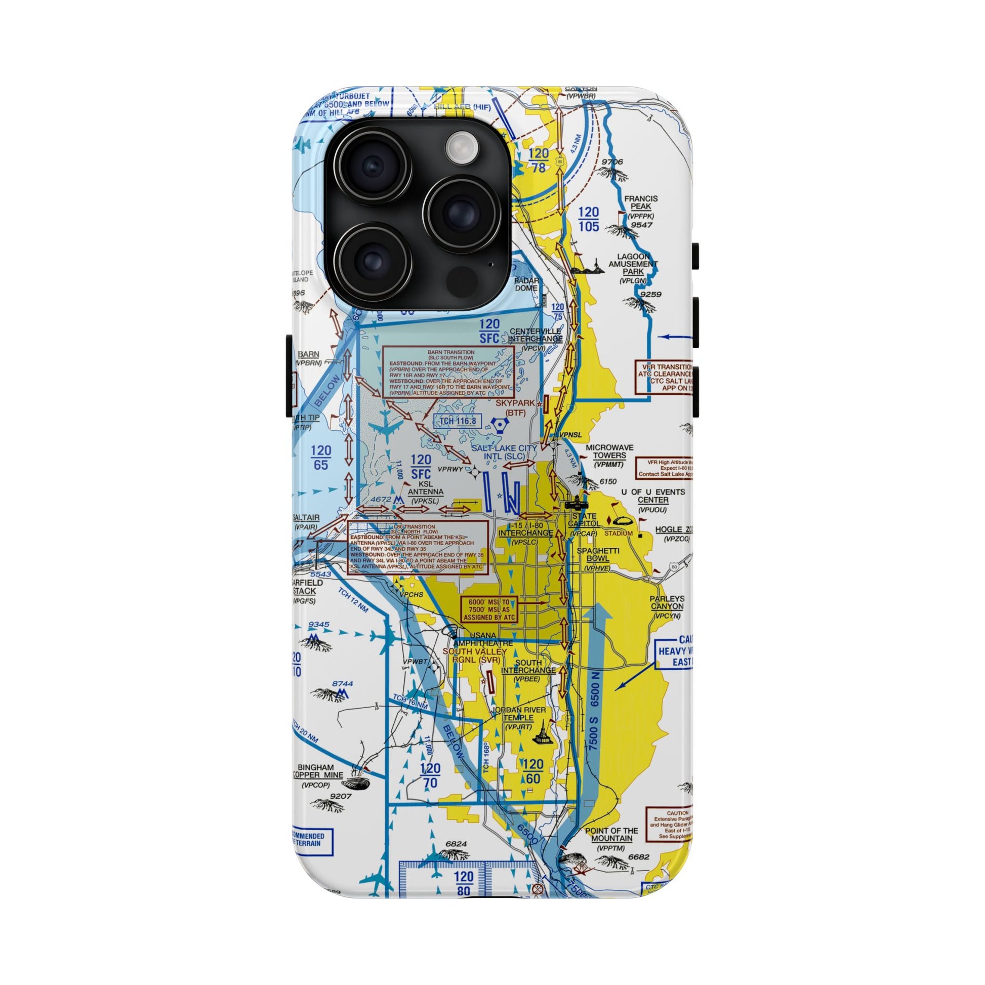 Salt Lake City Flyway Chart tough phone cases