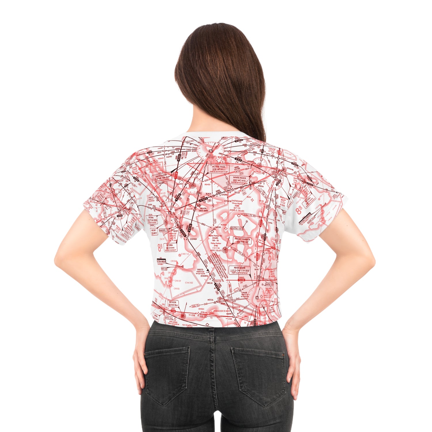 Enroute Low Altitude Chart (red&white) crop tee