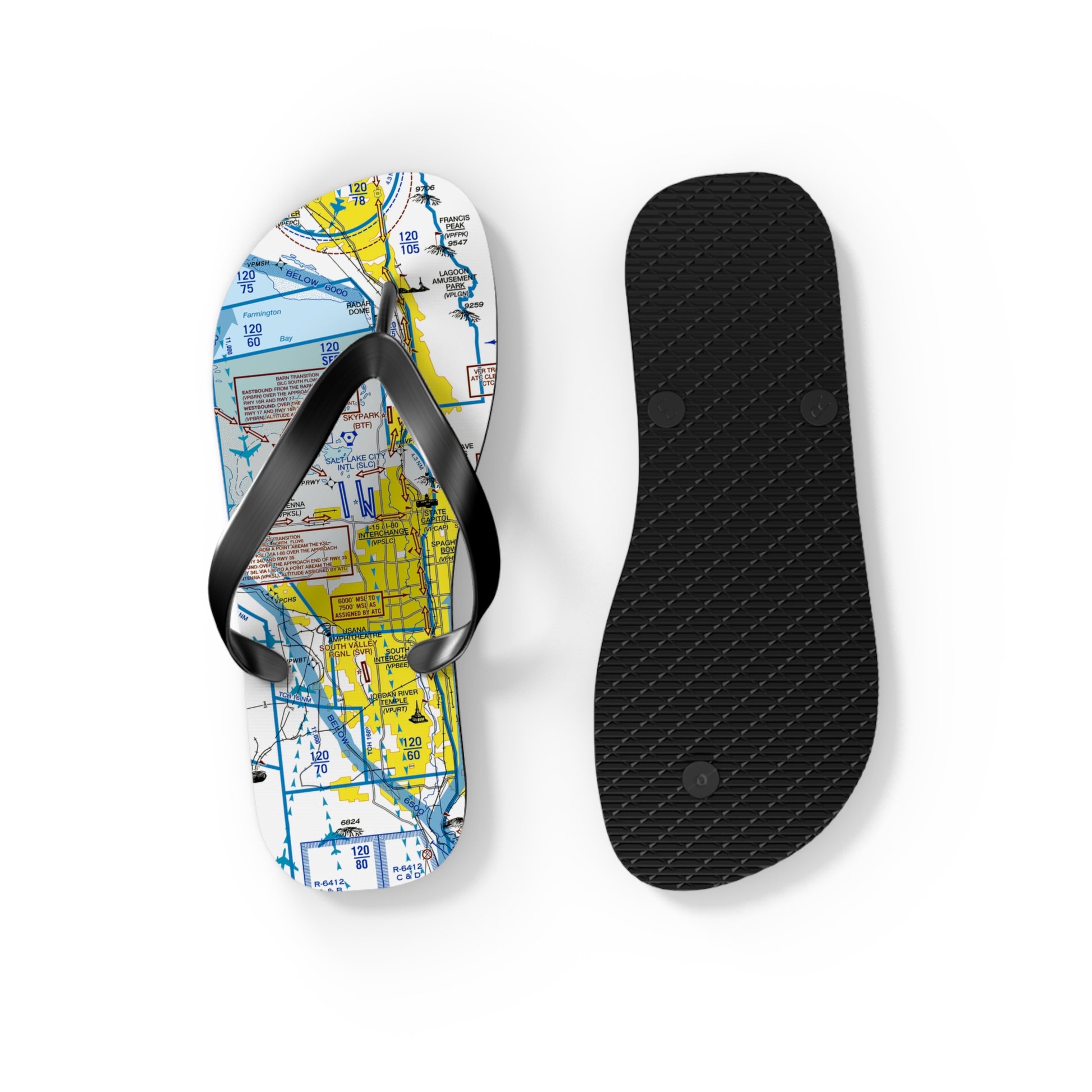 Aeronautical Chart Flip-Flops (SLC Flyway Chart)