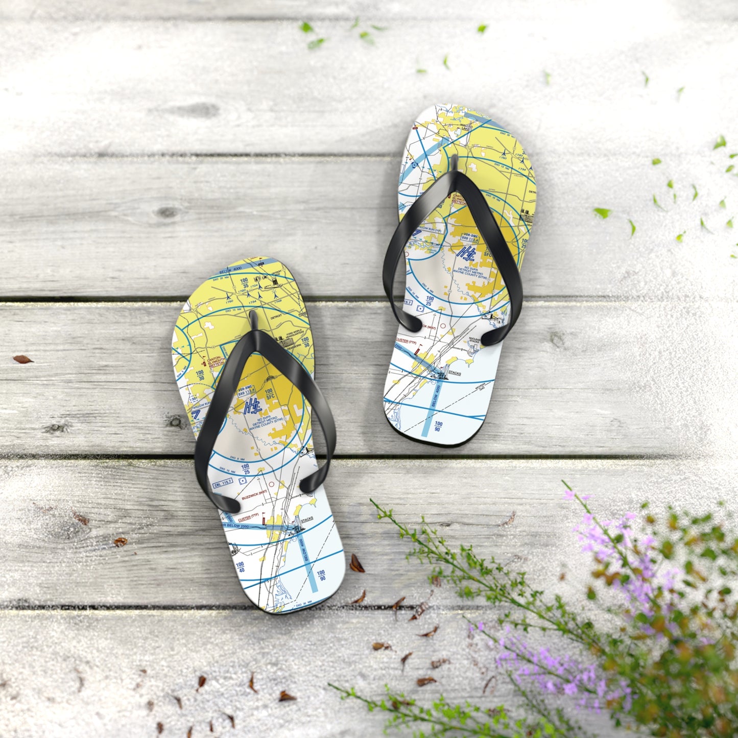 Aeronautical Chart Flip-Flops (DTW Flyway Chart)