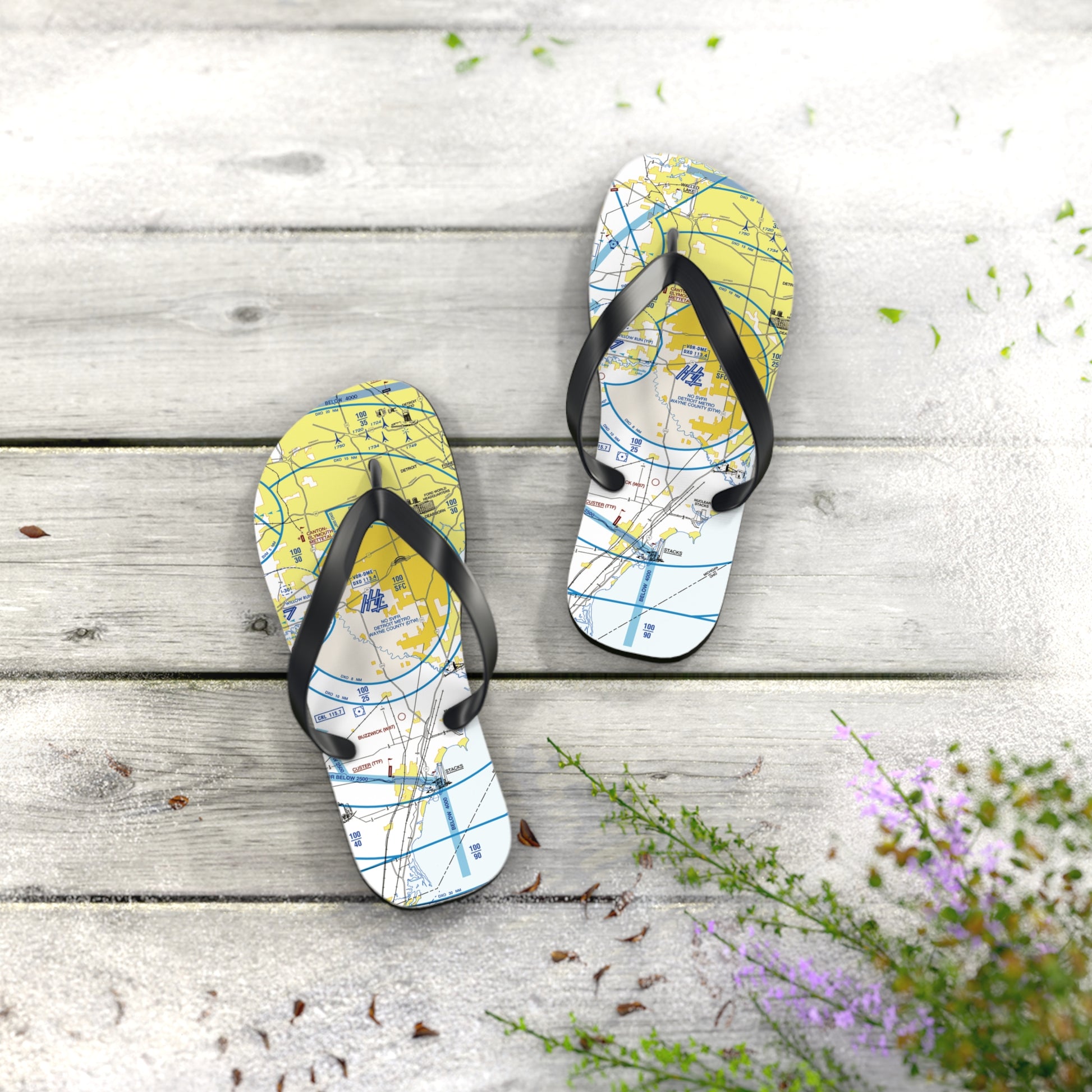 Aeronautical Chart Flip-Flops (DTW Flyway Chart)