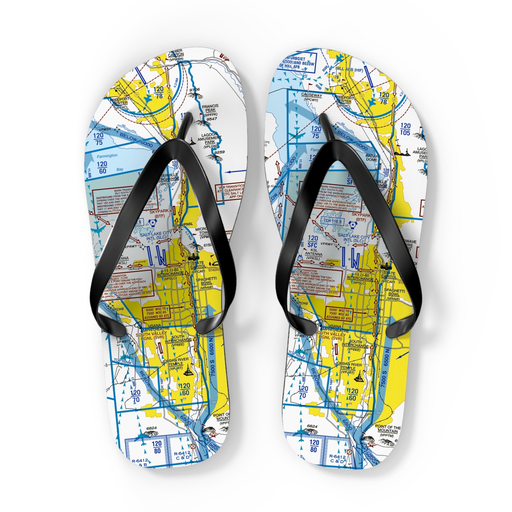 Aeronautical Chart Flip-Flops (SLC Flyway Chart)