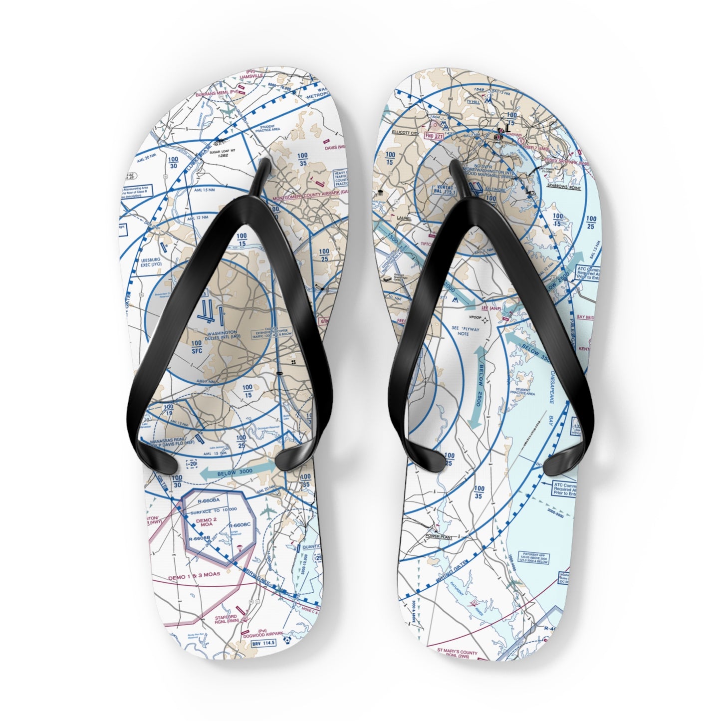 Aeronautical Chart Flip-Flops (BWI Flyway Chart)