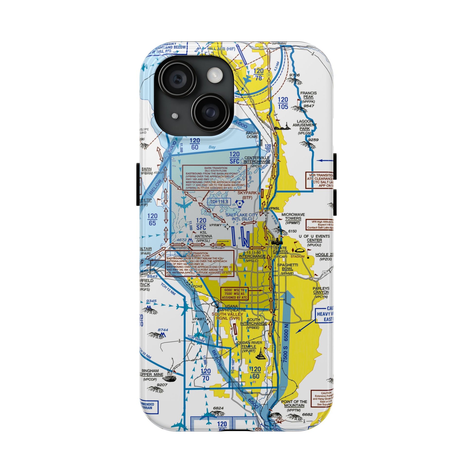 Salt Lake City Flyway Chart tough phone cases