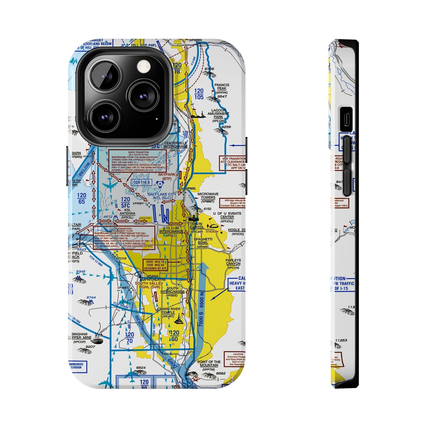Salt Lake City Flyway Chart tough phone cases