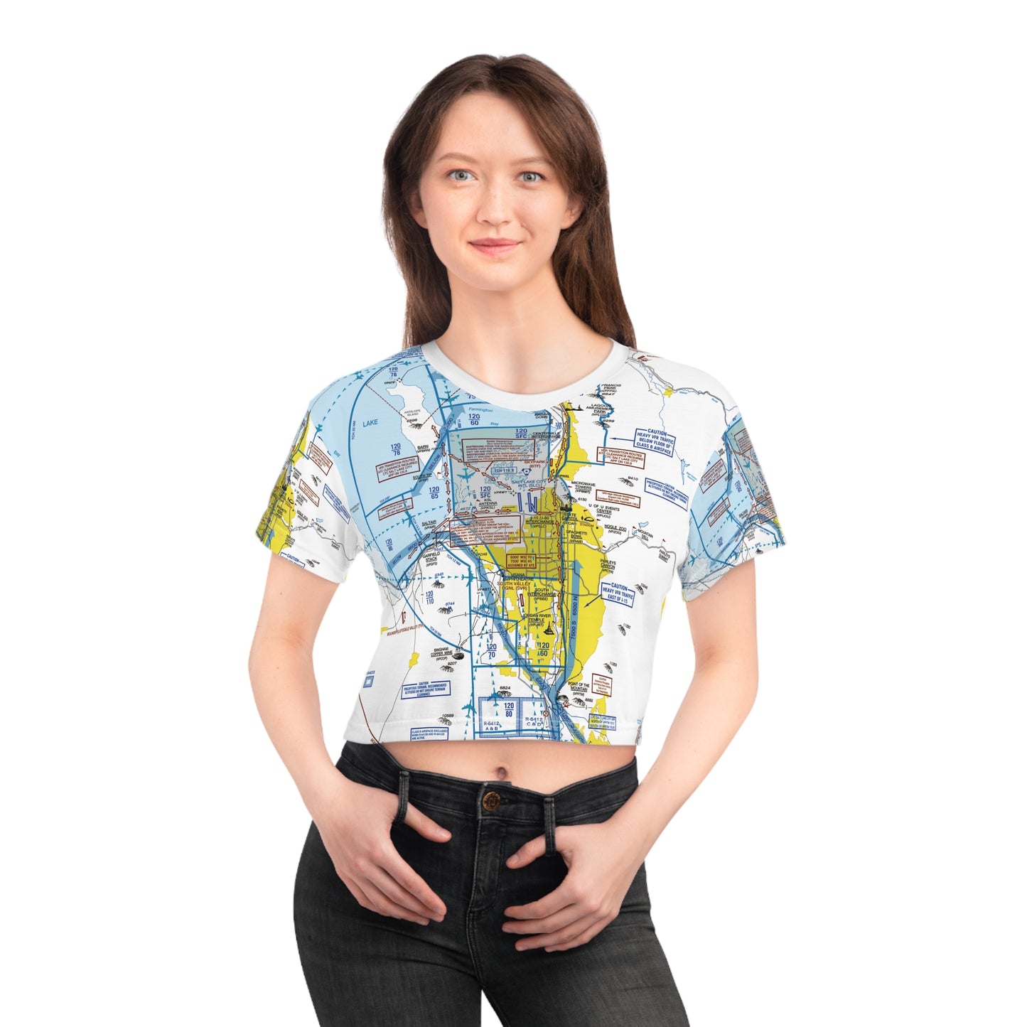 Salt Lake City Flyway Chart crop tee