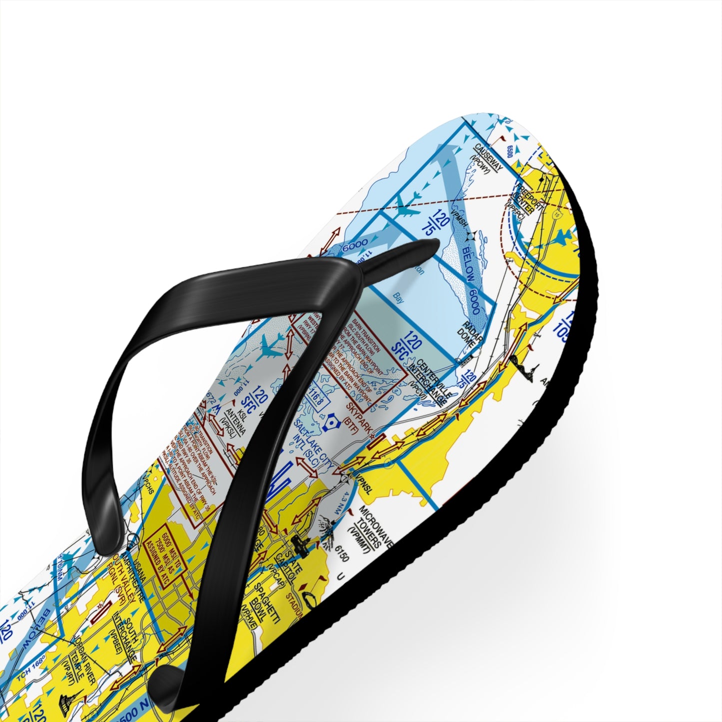 Aeronautical Chart Flip-Flops (SLC Flyway Chart)