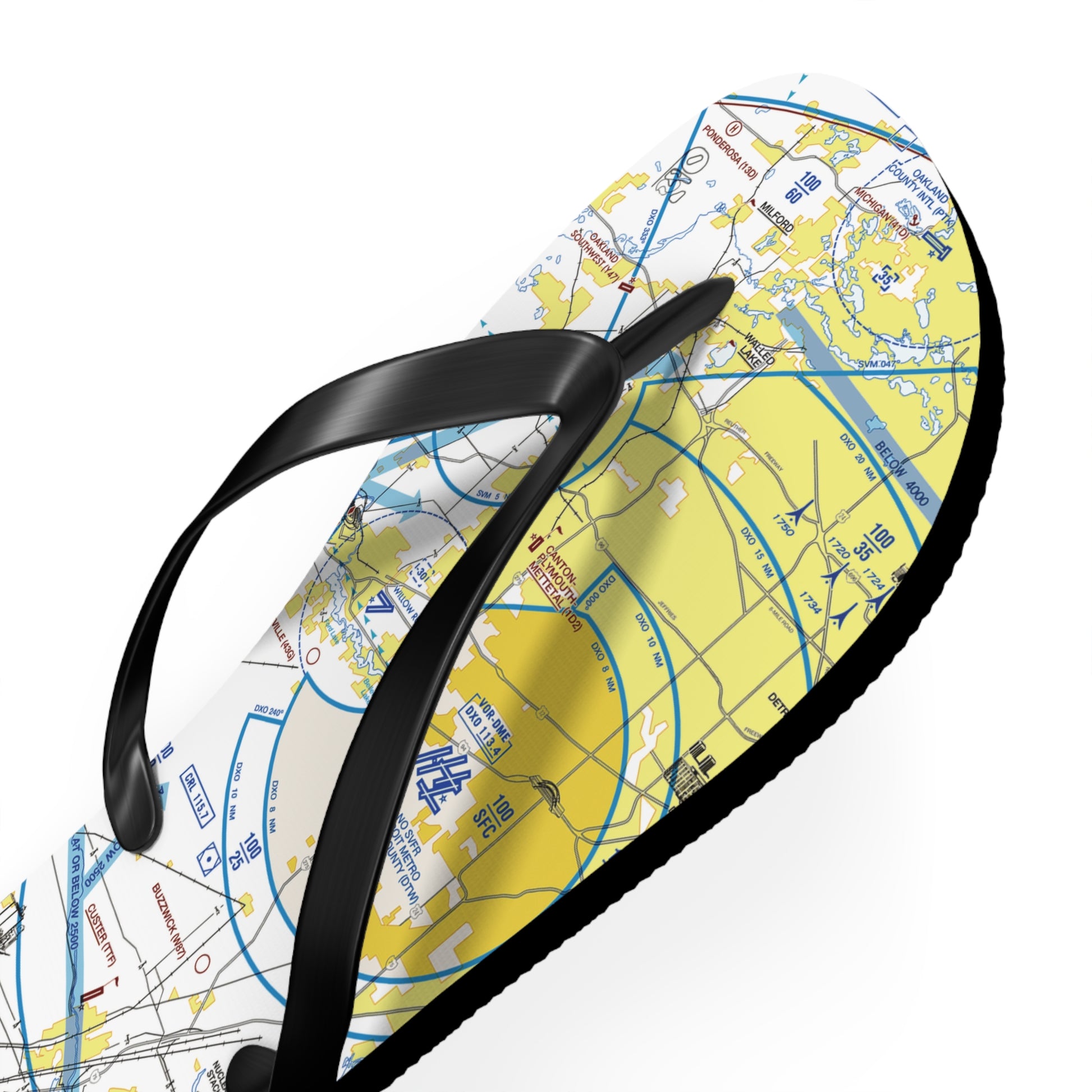 Aeronautical Chart Flip-Flops (DTW Flyway Chart)