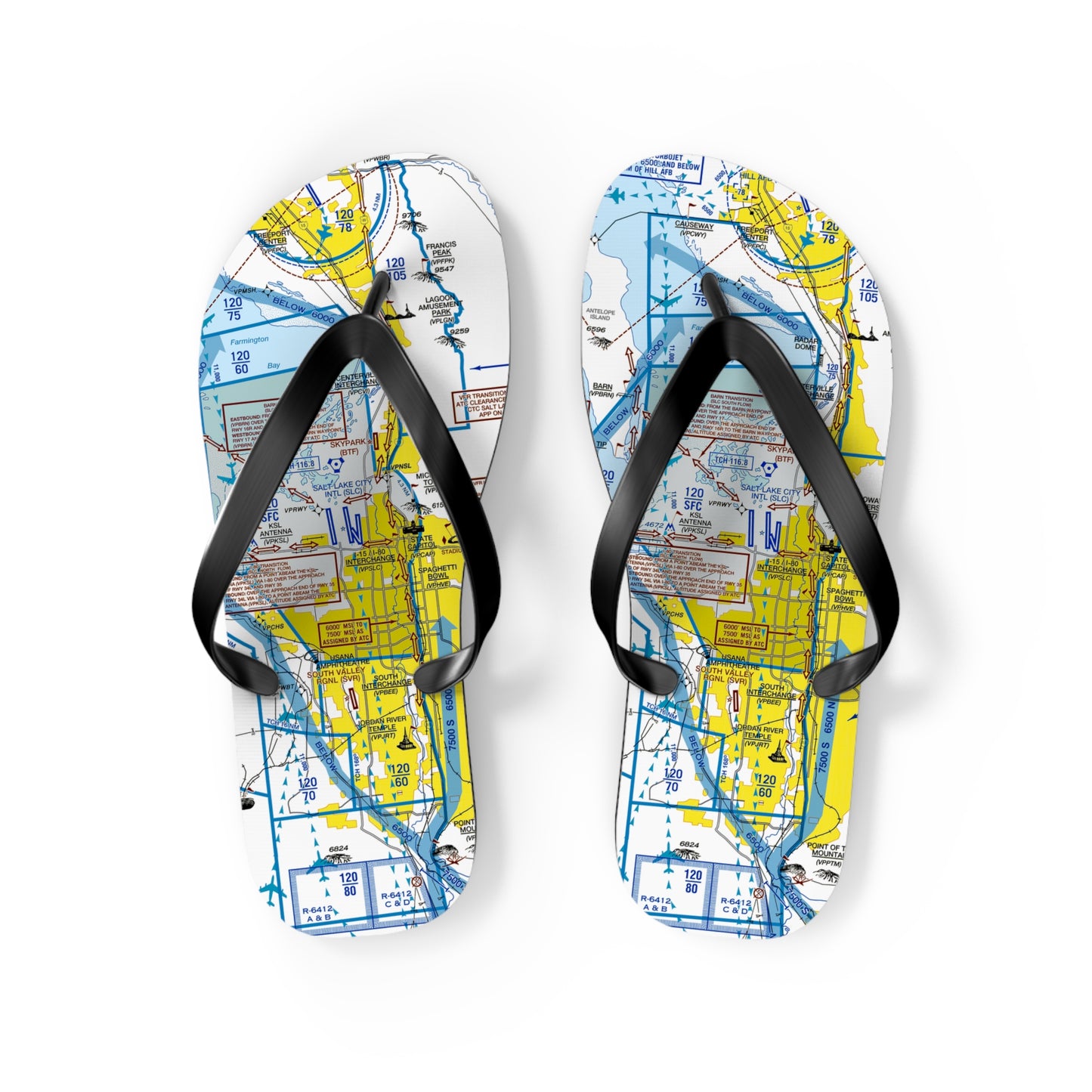 Aeronautical Chart Flip-Flops (SLC Flyway Chart)