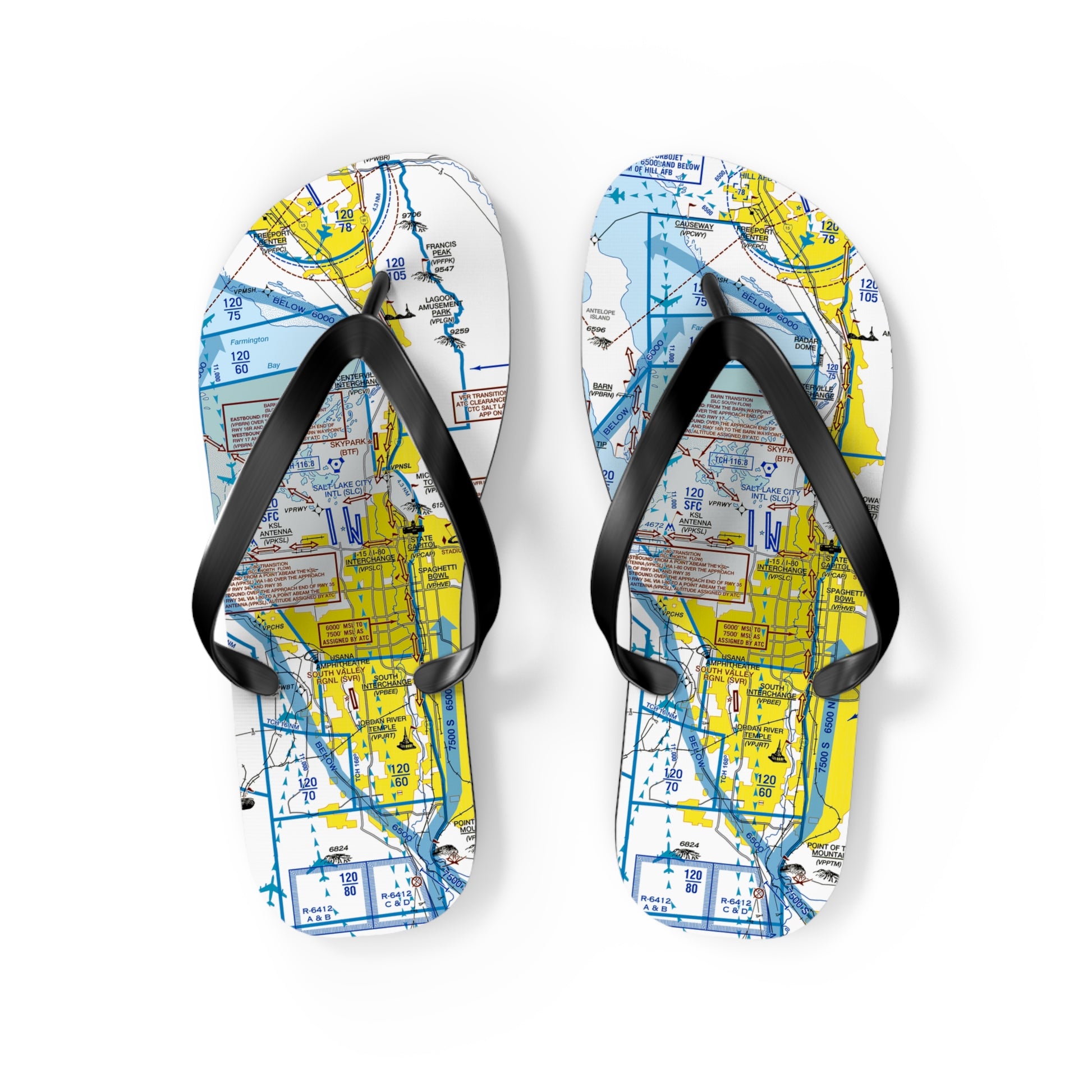 Aeronautical Chart Flip-Flops (SLC Flyway Chart)