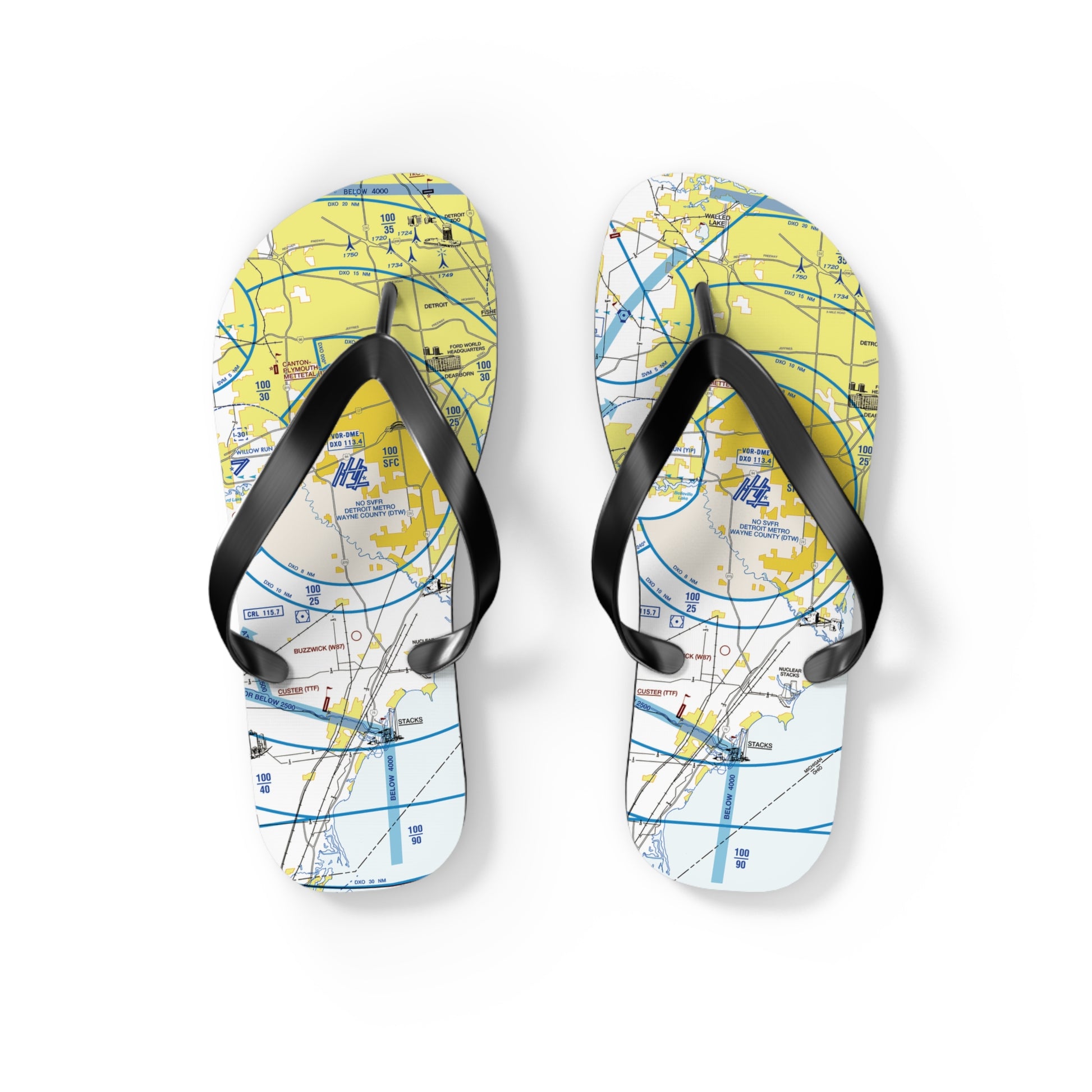 Aeronautical Chart Flip-Flops (DTW Flyway Chart)