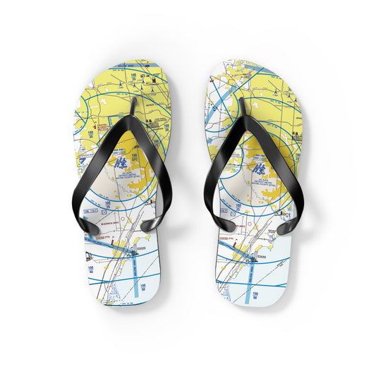 Aeronautical Chart Flip-Flops (DTW Flyway Chart)