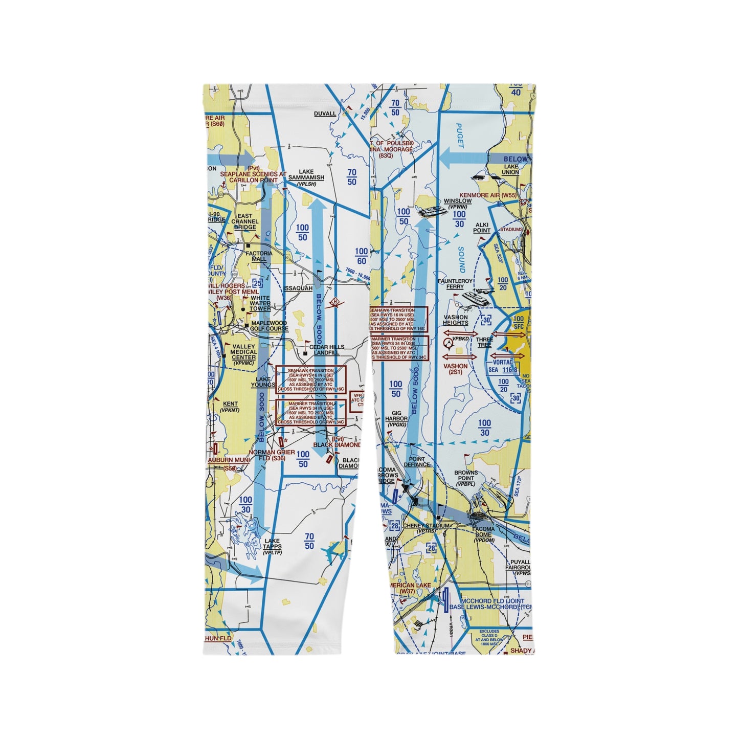 Seattle Flyway Chart capri leggings