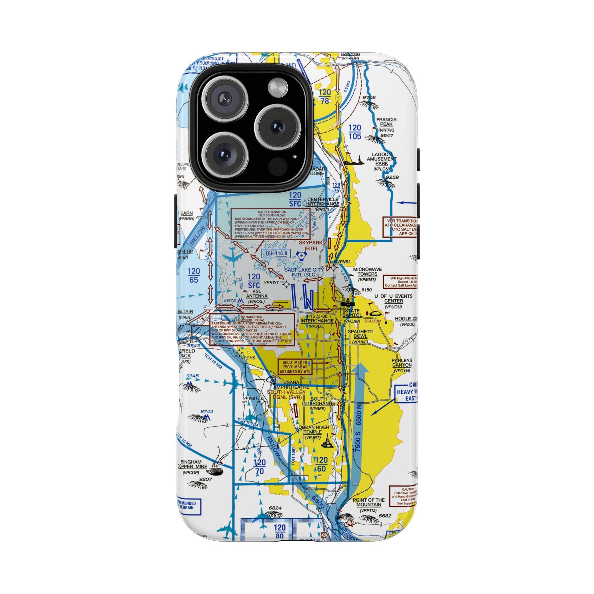 Salt Lake City Flyway Chart tough phone cases