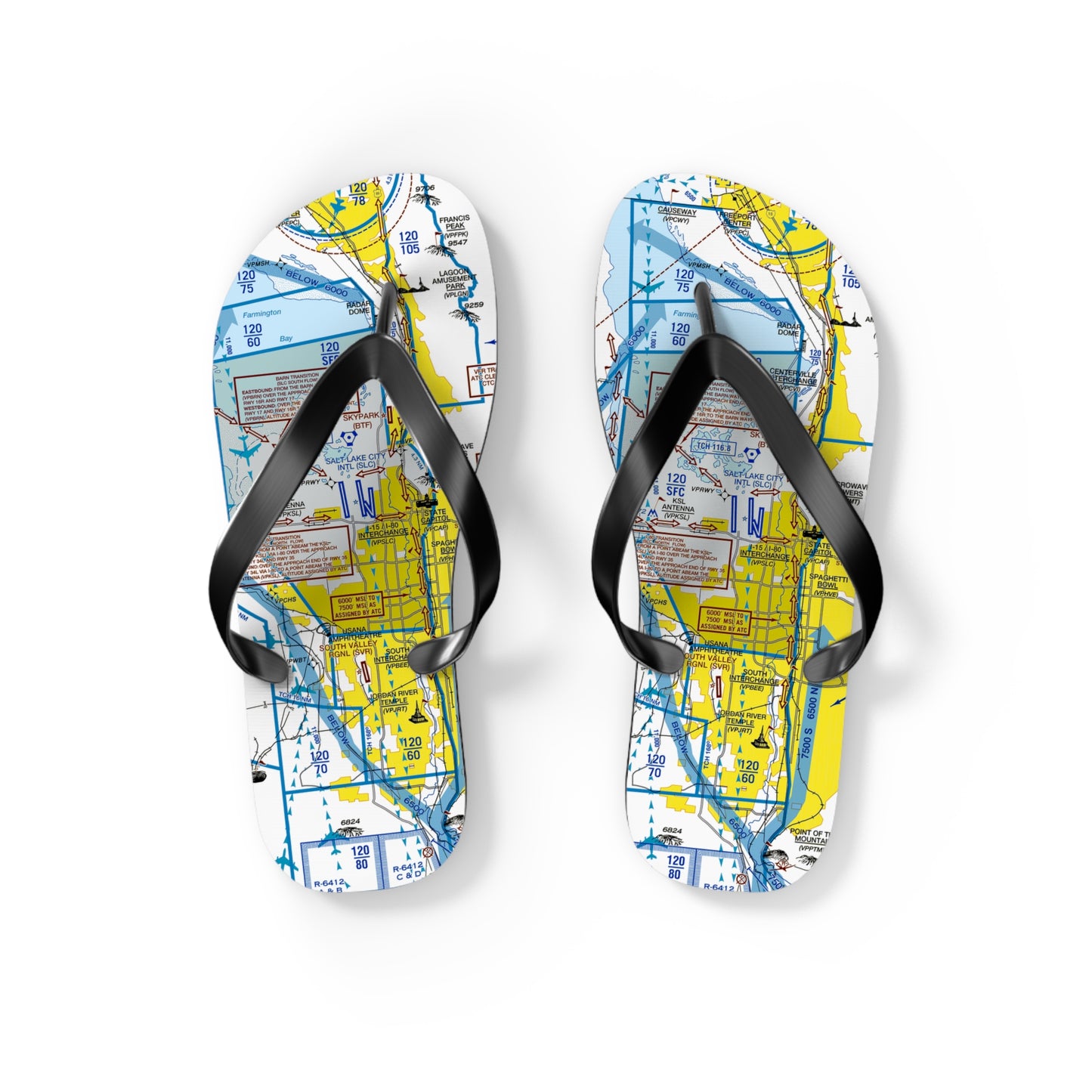 Aeronautical Chart Flip-Flops (SLC Flyway Chart)