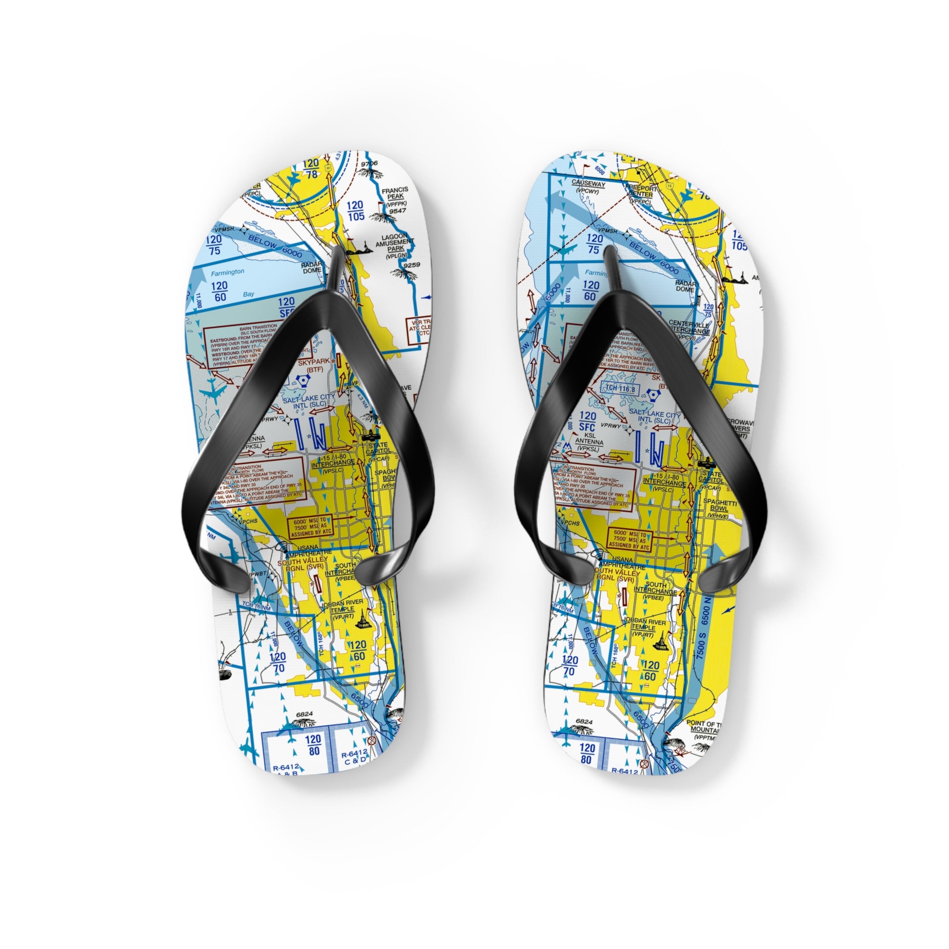 Aeronautical Chart Flip-Flops (SLC Flyway Chart)