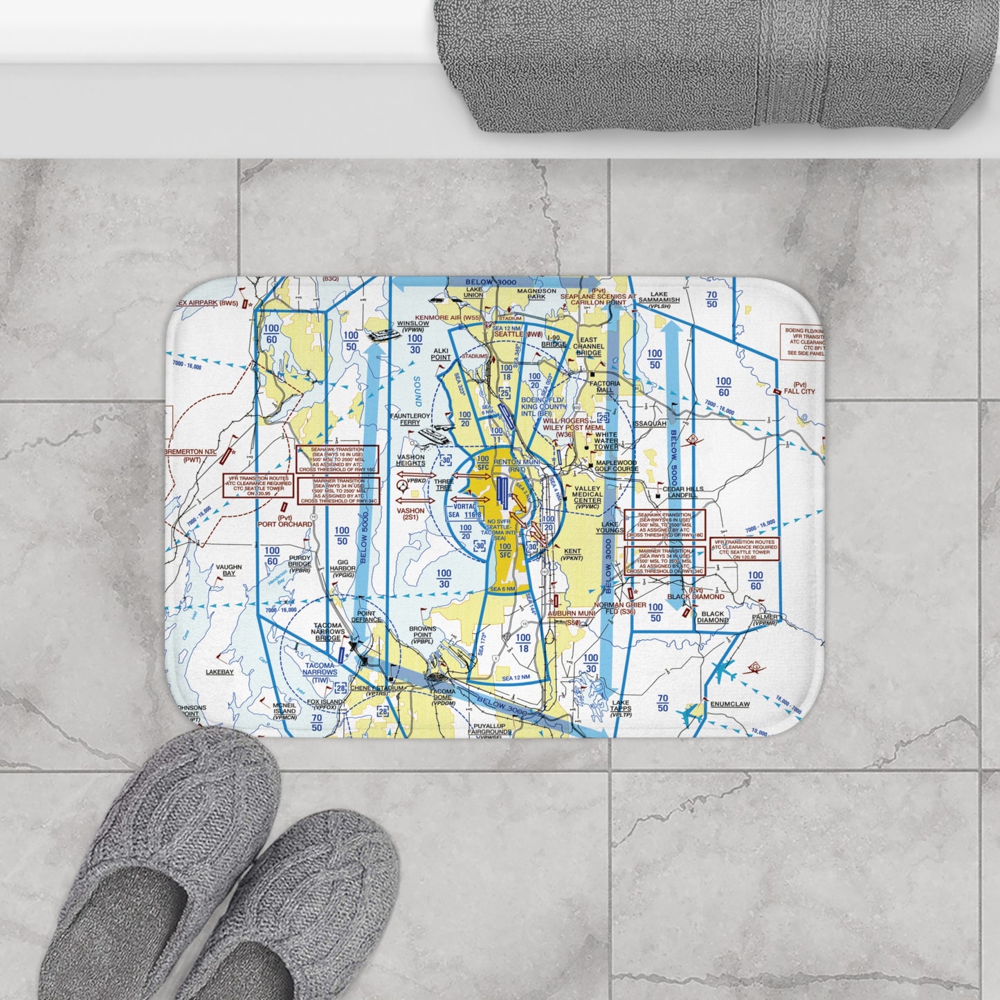 Seattle Flyway Chart bath mat