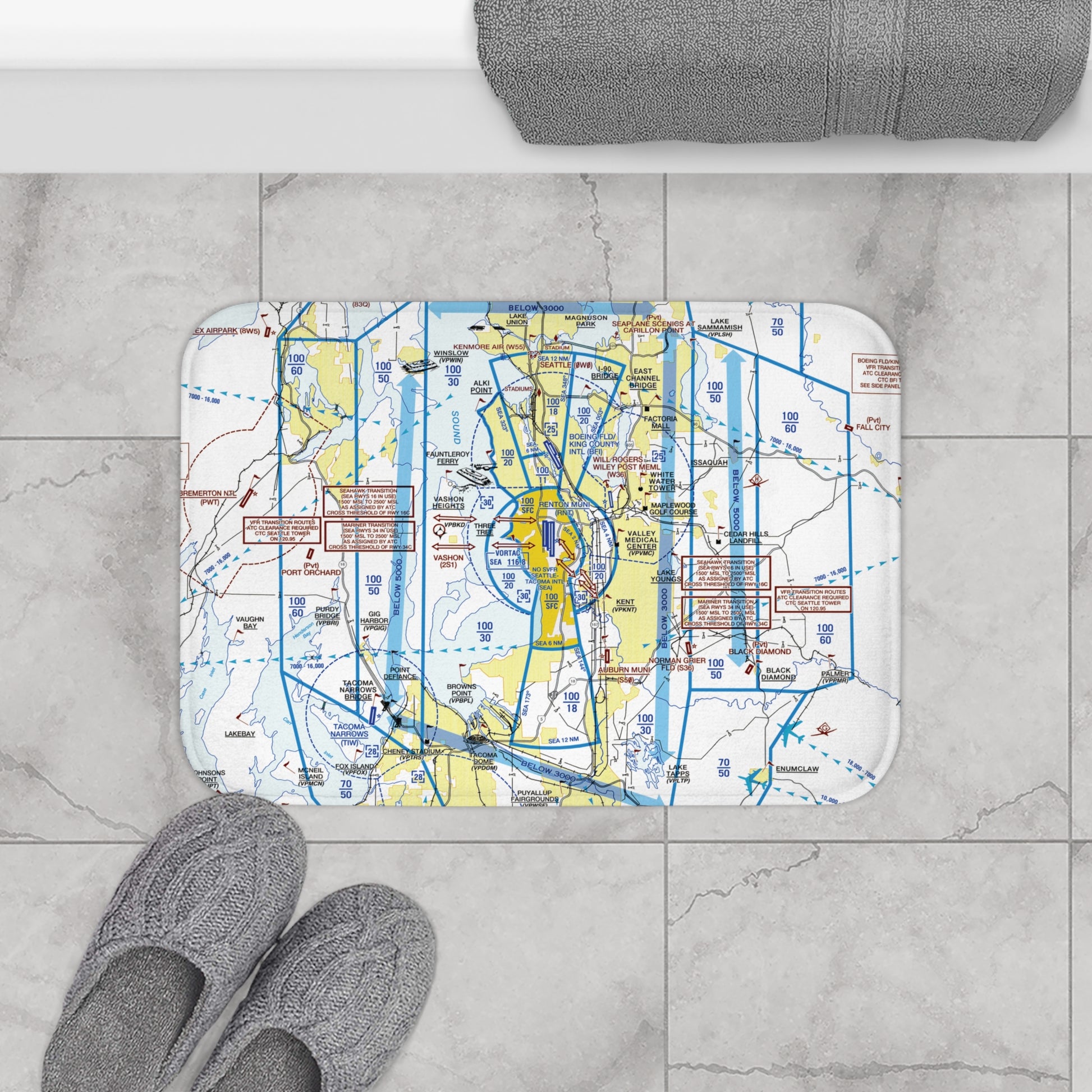 Seattle Flyway Chart bath mat