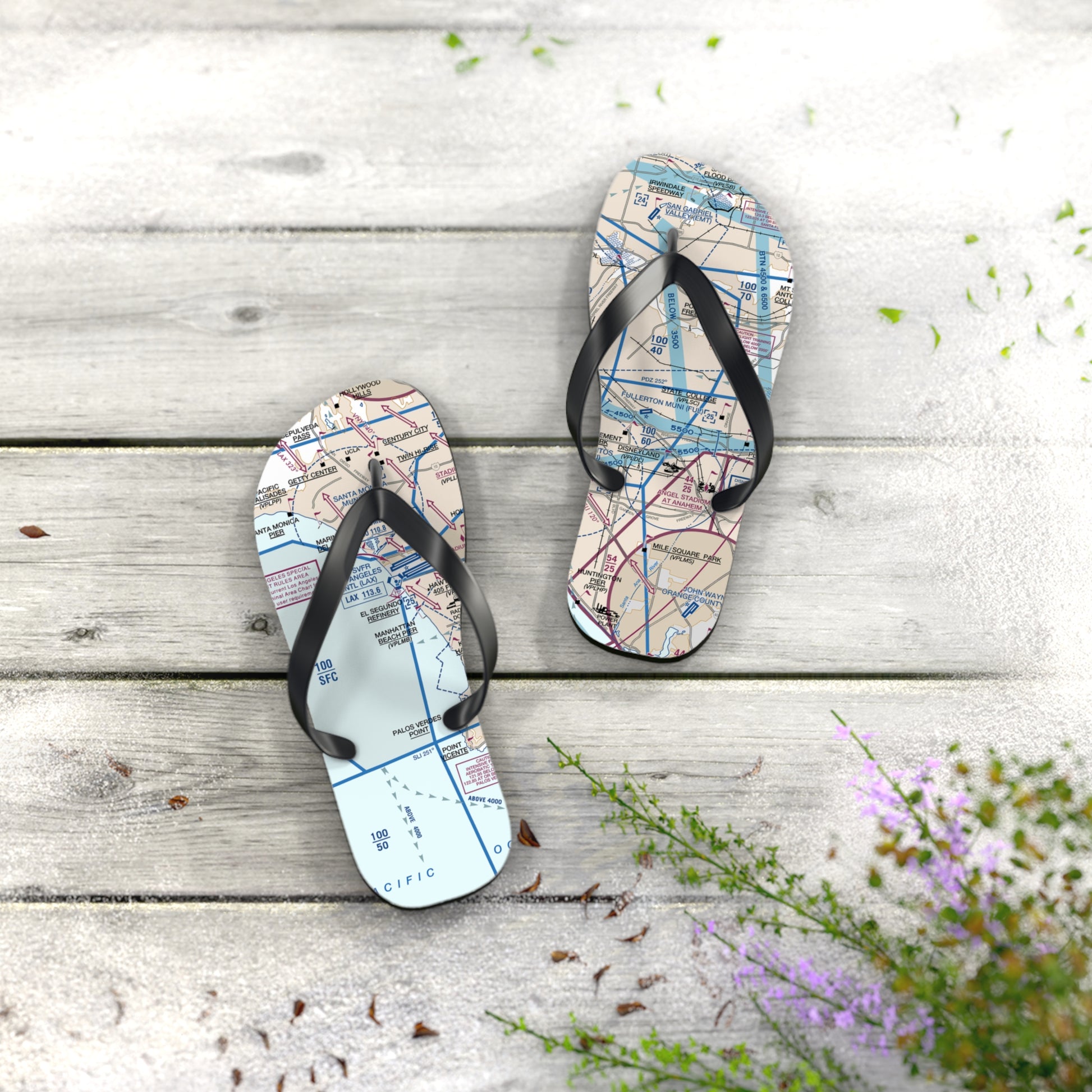 Aeronautical Chart Flip-Flops (LAX Flyway Chart)