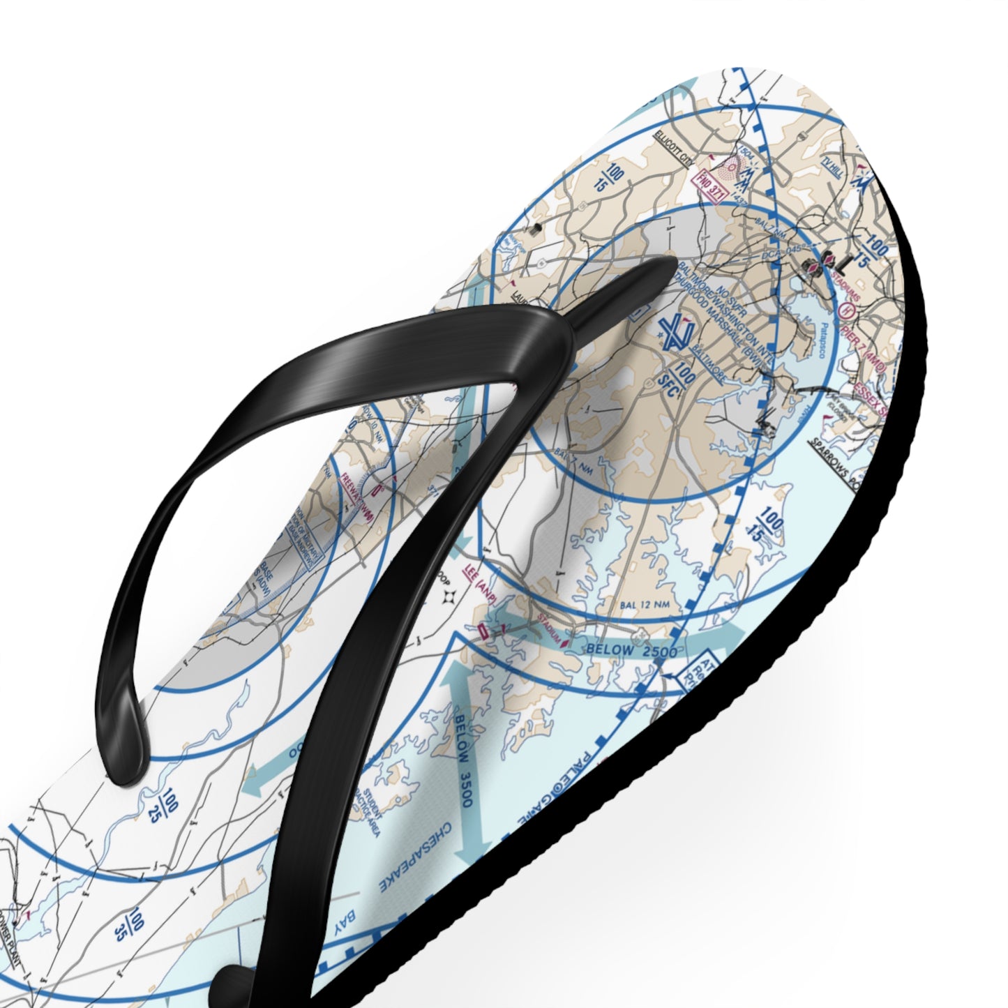 Aeronautical Chart Flip-Flops (BWI Flyway Chart)