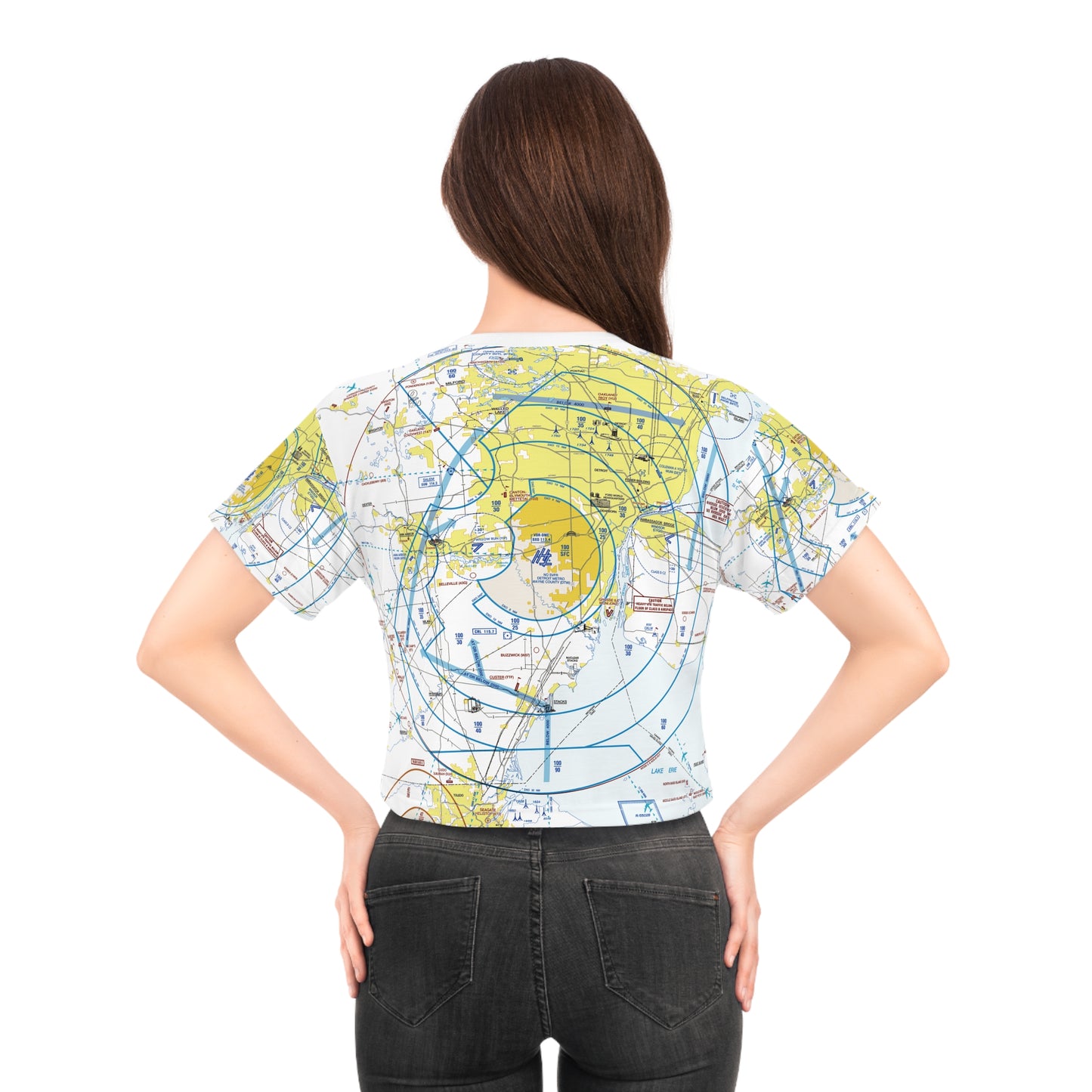 Detroit Flyway Chart crop tee