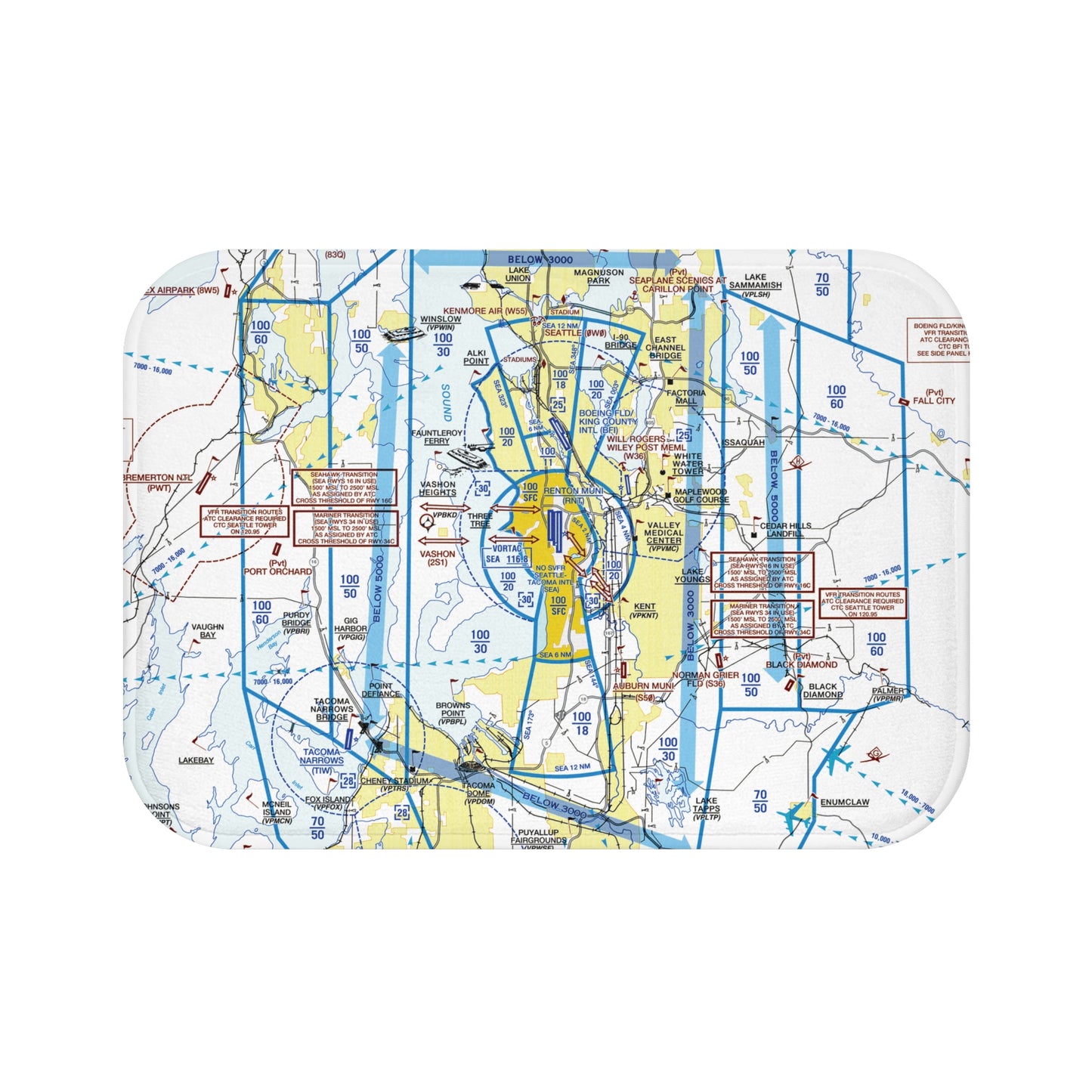 Seattle Flyway Chart bath mat