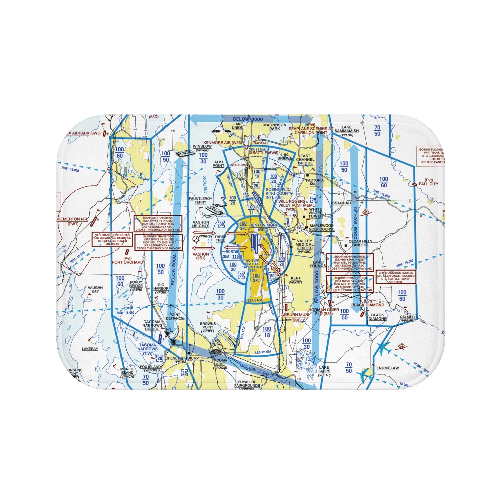 Seattle Flyway Chart bath mat