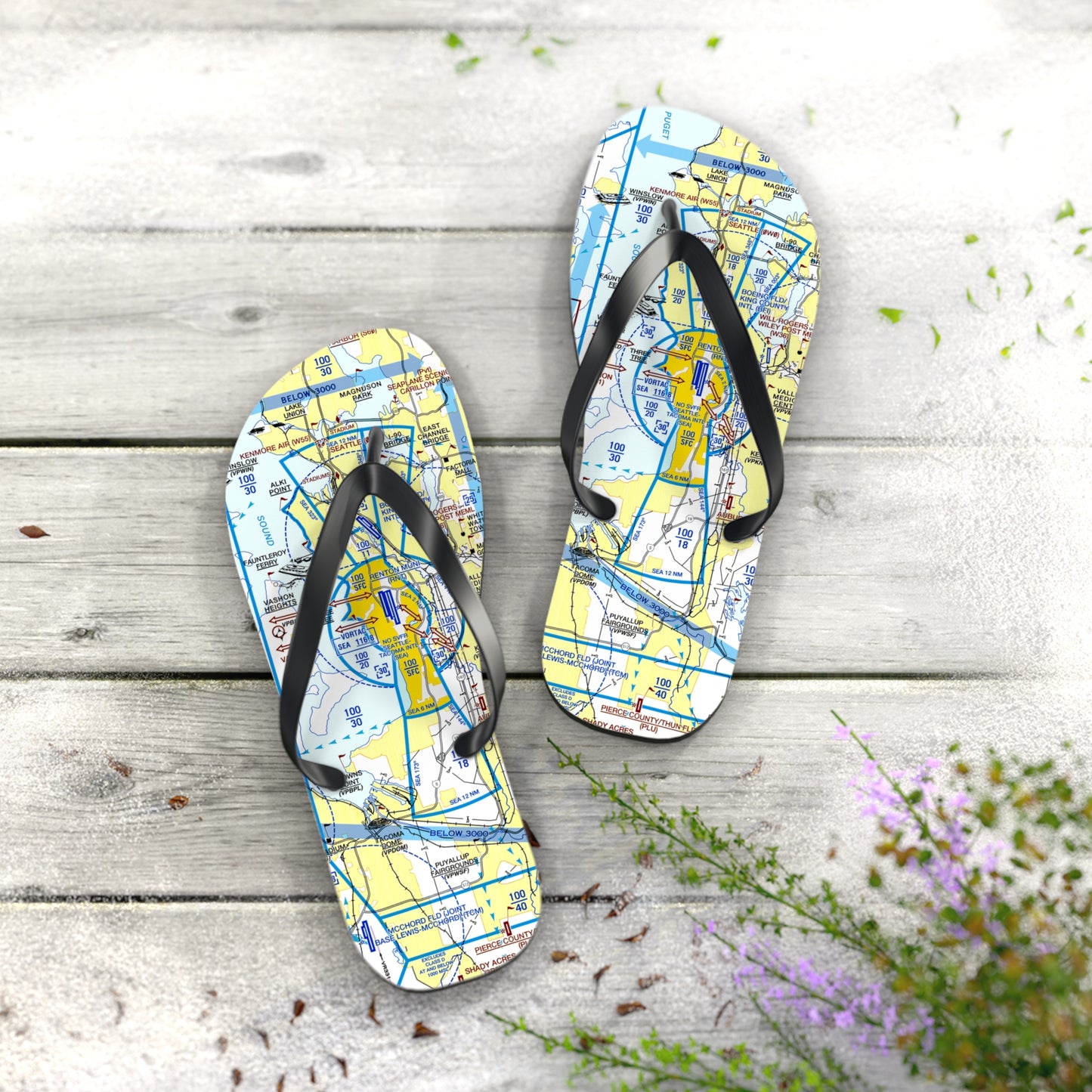 Aeronautical Chart Flip-Flops (SEA Flyway Chart)