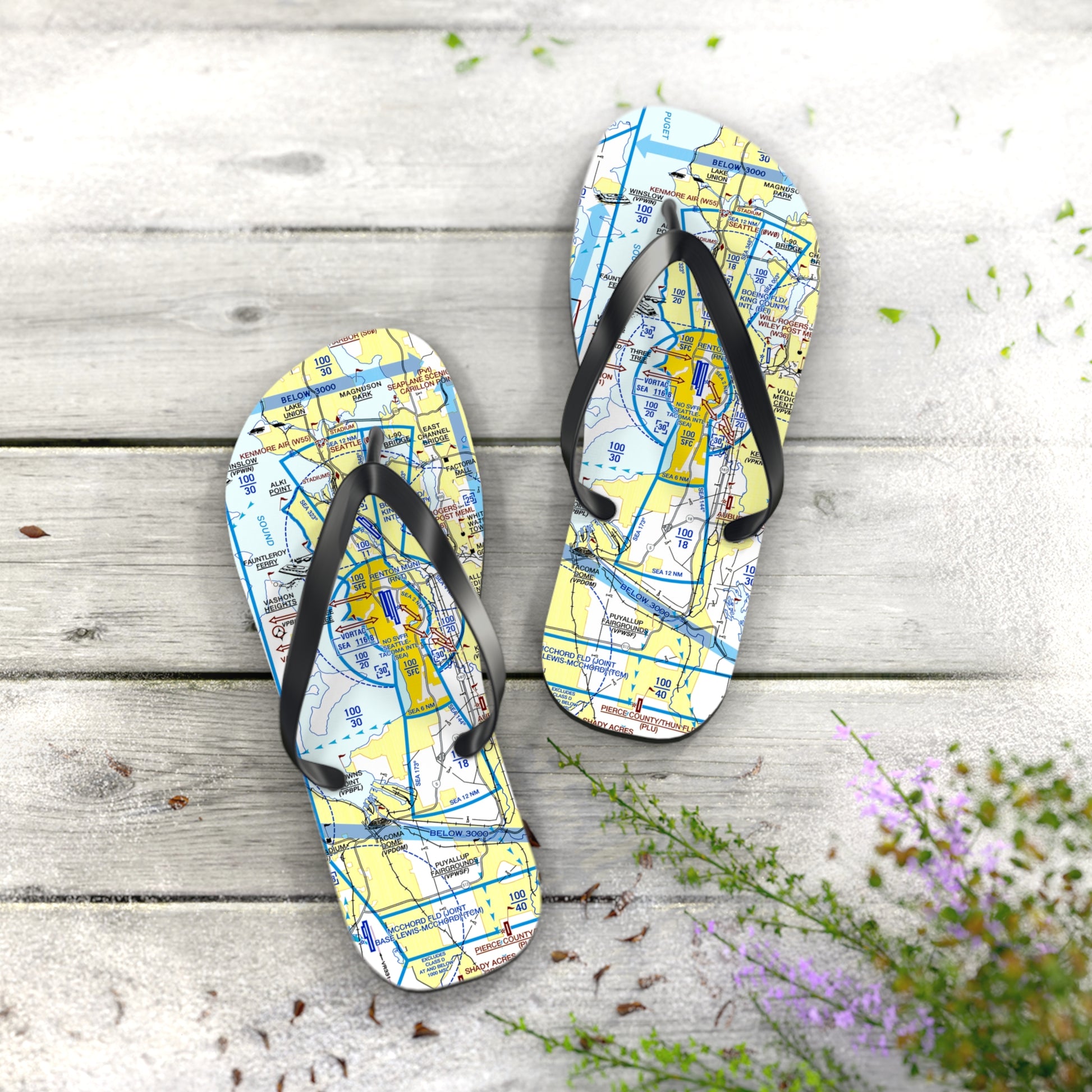 Aeronautical Chart Flip-Flops (SEA Flyway Chart)