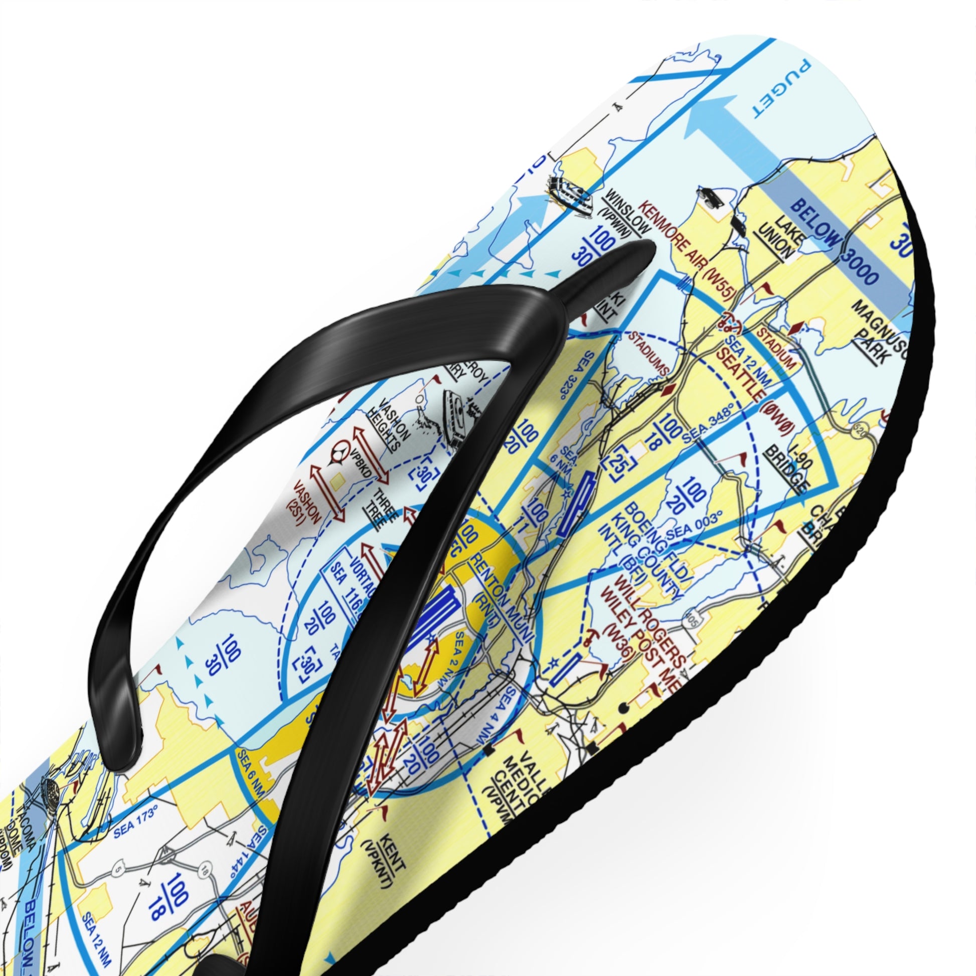 Aeronautical Chart Flip-Flops (SEA Flyway Chart)