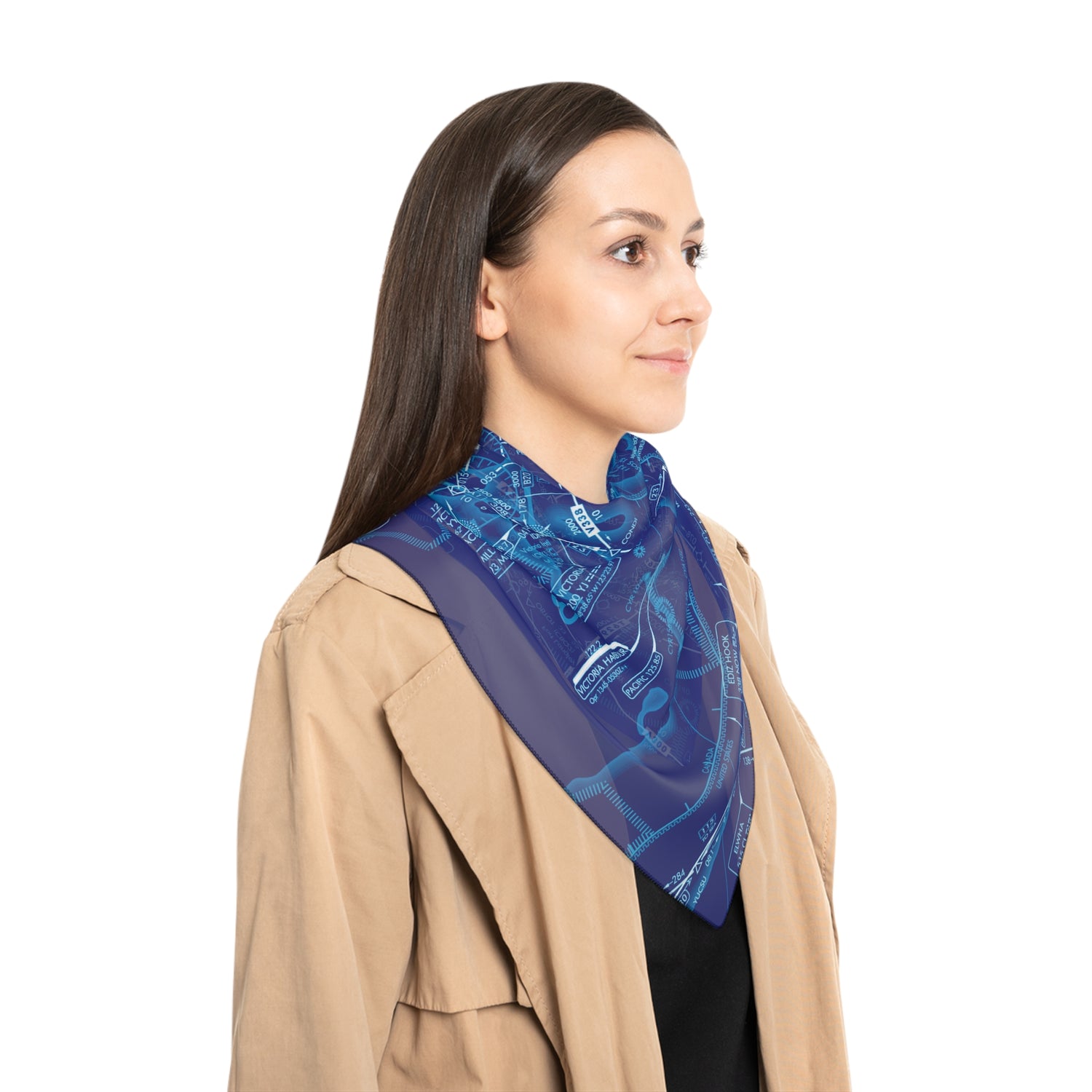 Enroute Low Altitude Chart (blue) poly scarf