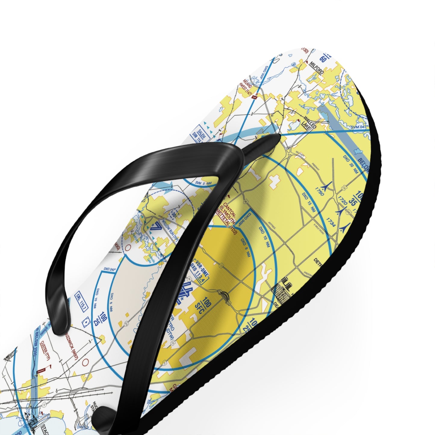 Aeronautical Chart Flip-Flops (DTW Flyway Chart)
