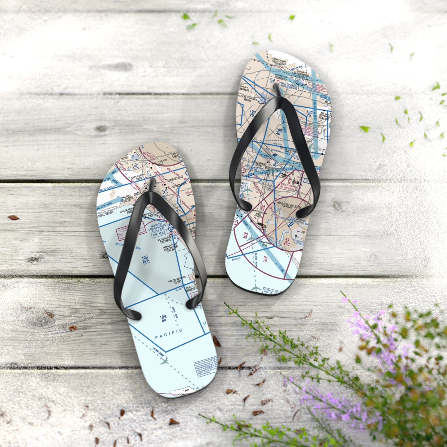 Aeronautical Chart Flip-Flops (LAX Flyway Chart)