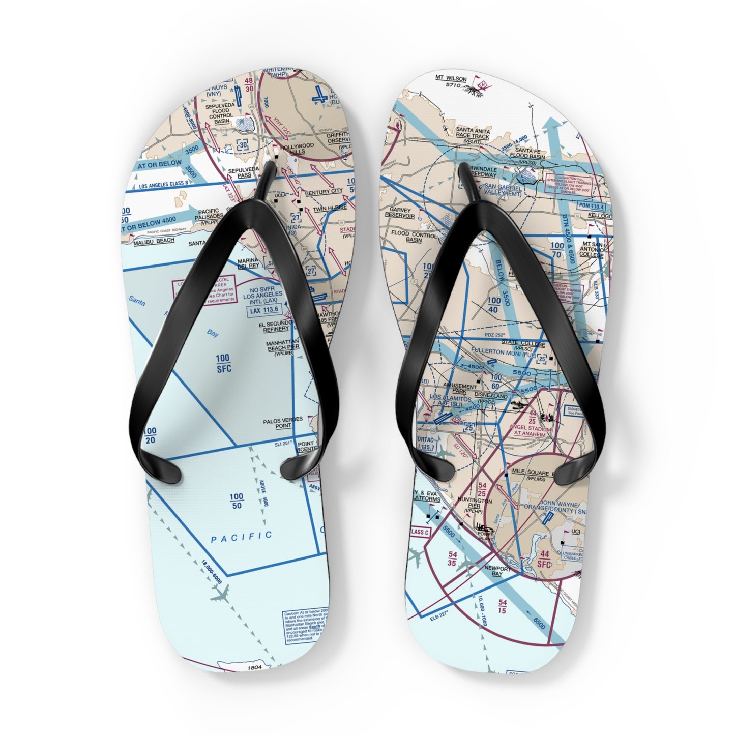 Aeronautical Chart Flip-Flops (LAX Flyway Chart)
