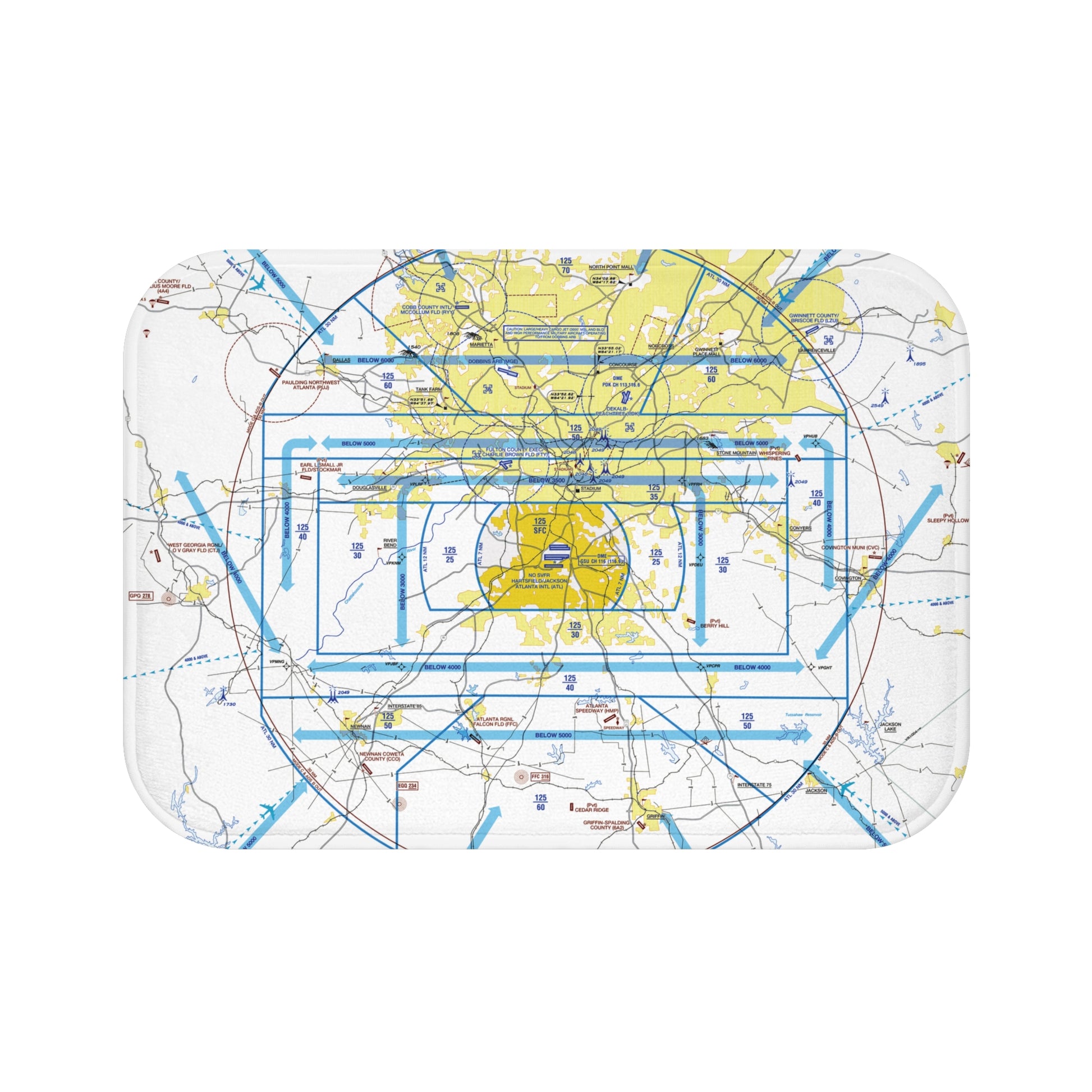 Atlanta Flyway Chart bath mat