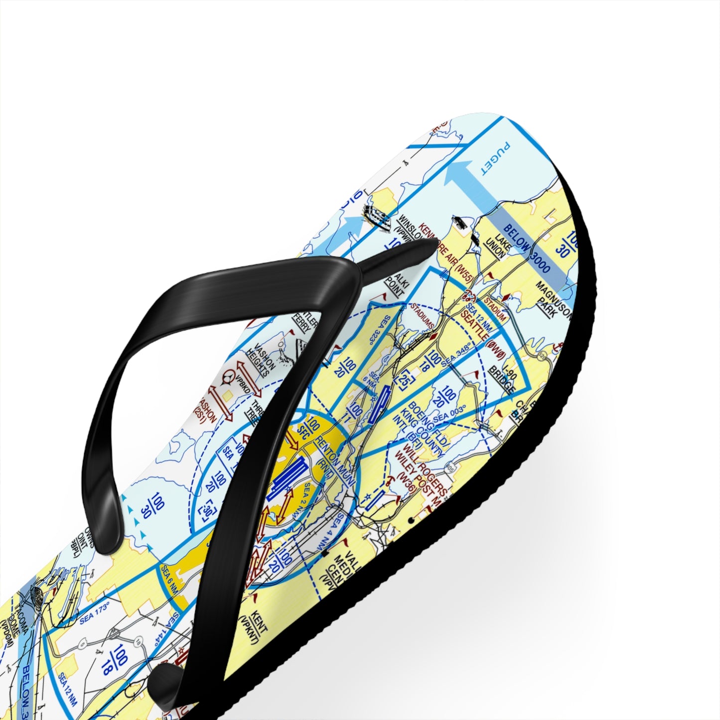 Aeronautical Chart Flip-Flops (SEA Flyway Chart)
