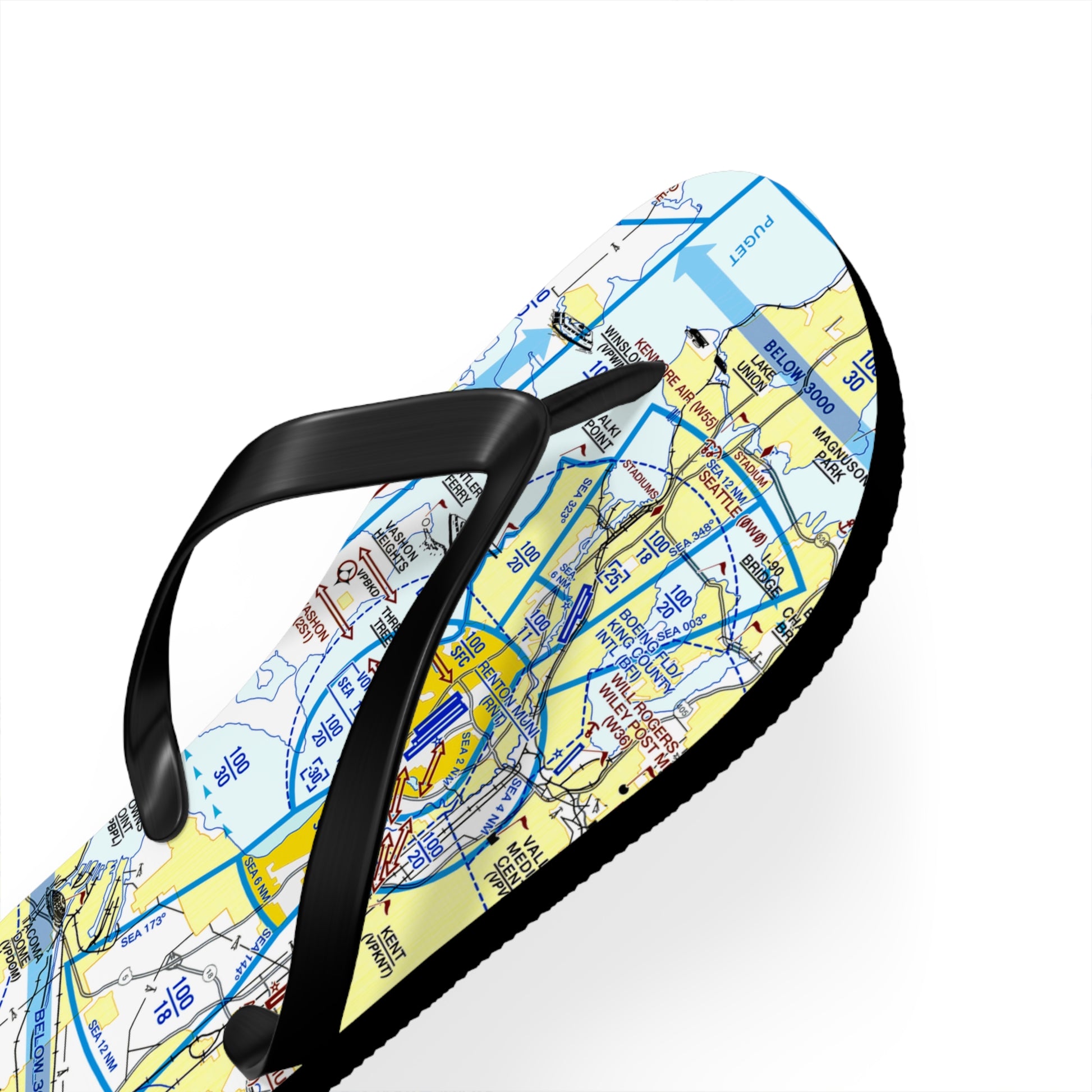 Aeronautical Chart Flip-Flops (SEA Flyway Chart)