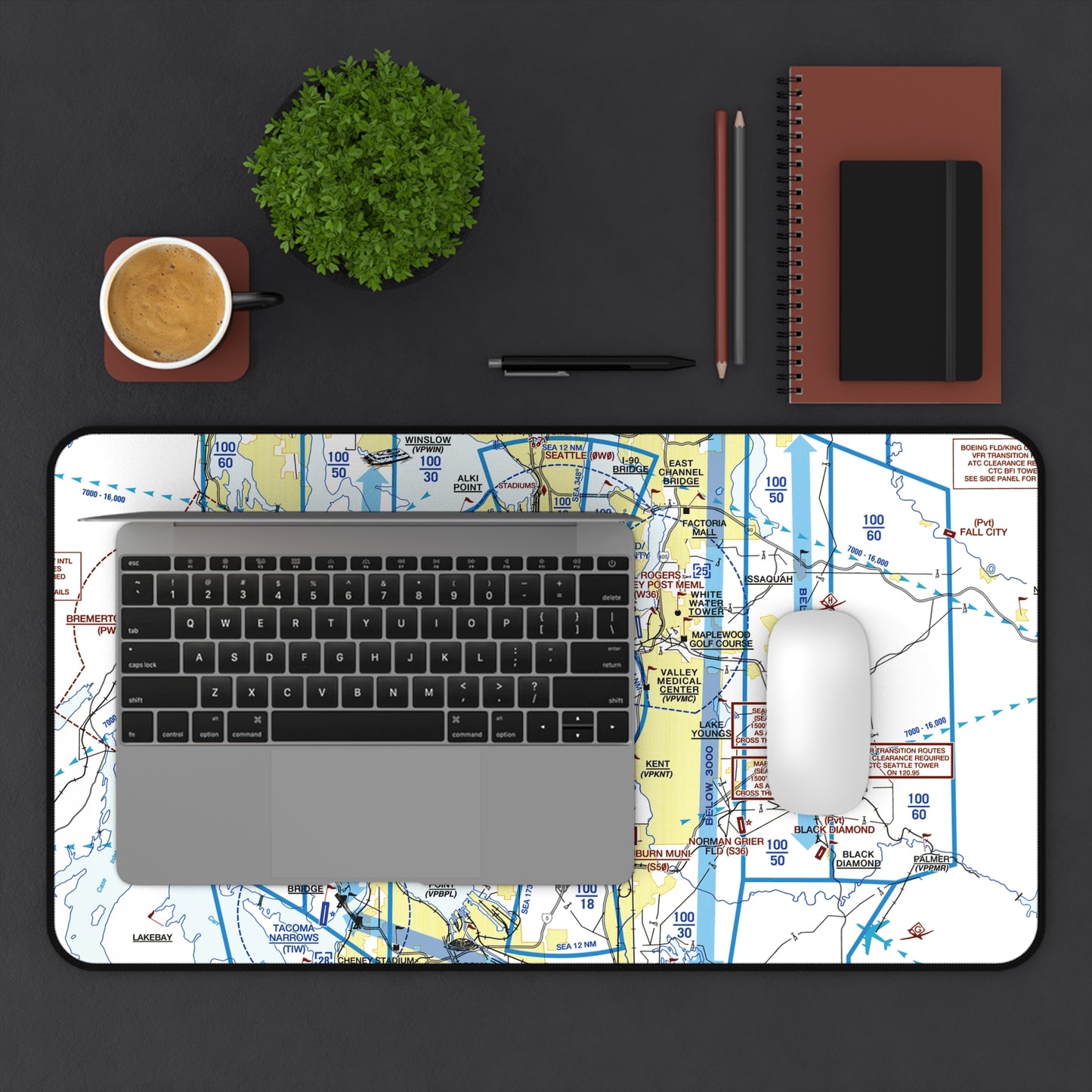 Seattle Flyway Chart desk mat