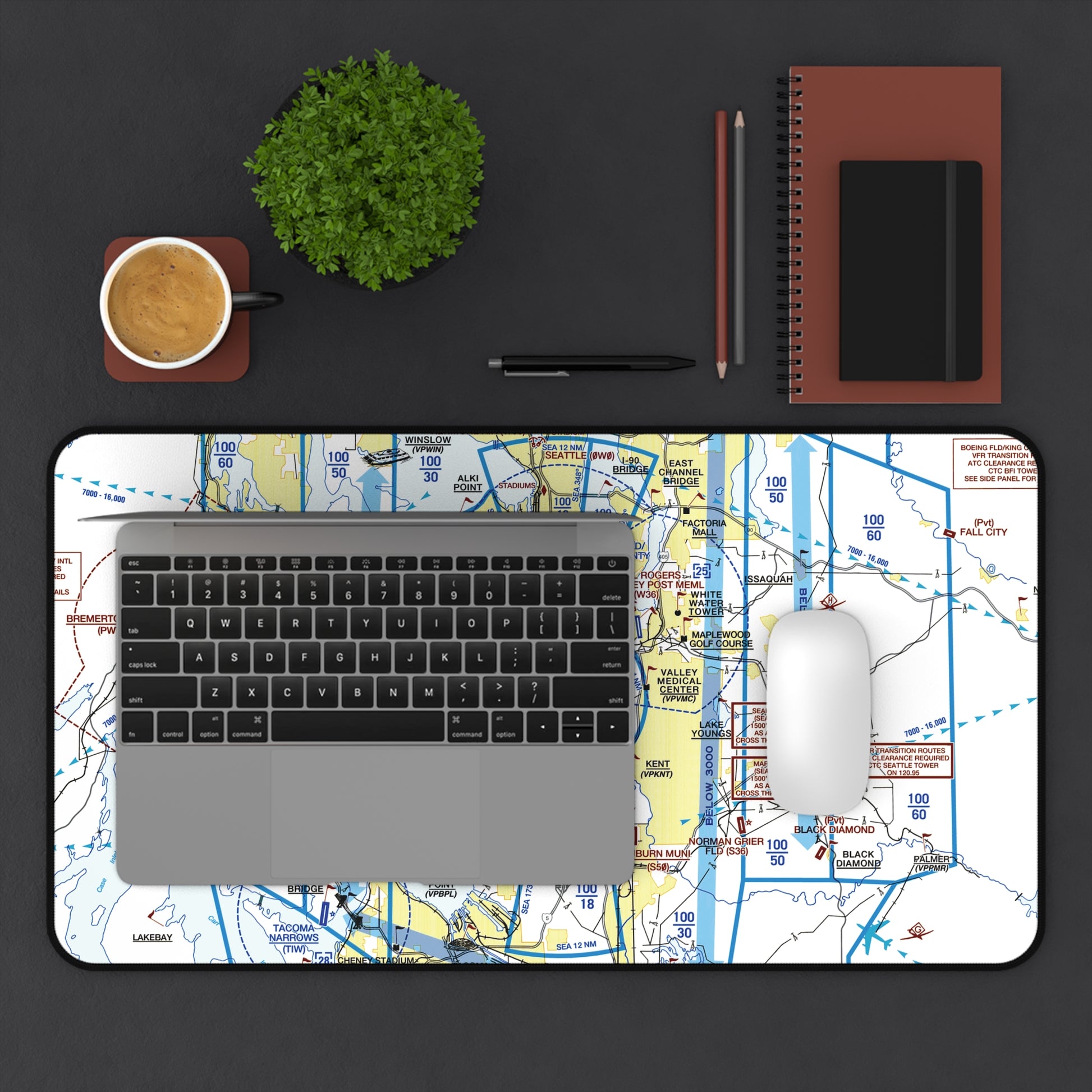 Seattle Flyway Chart desk mat
