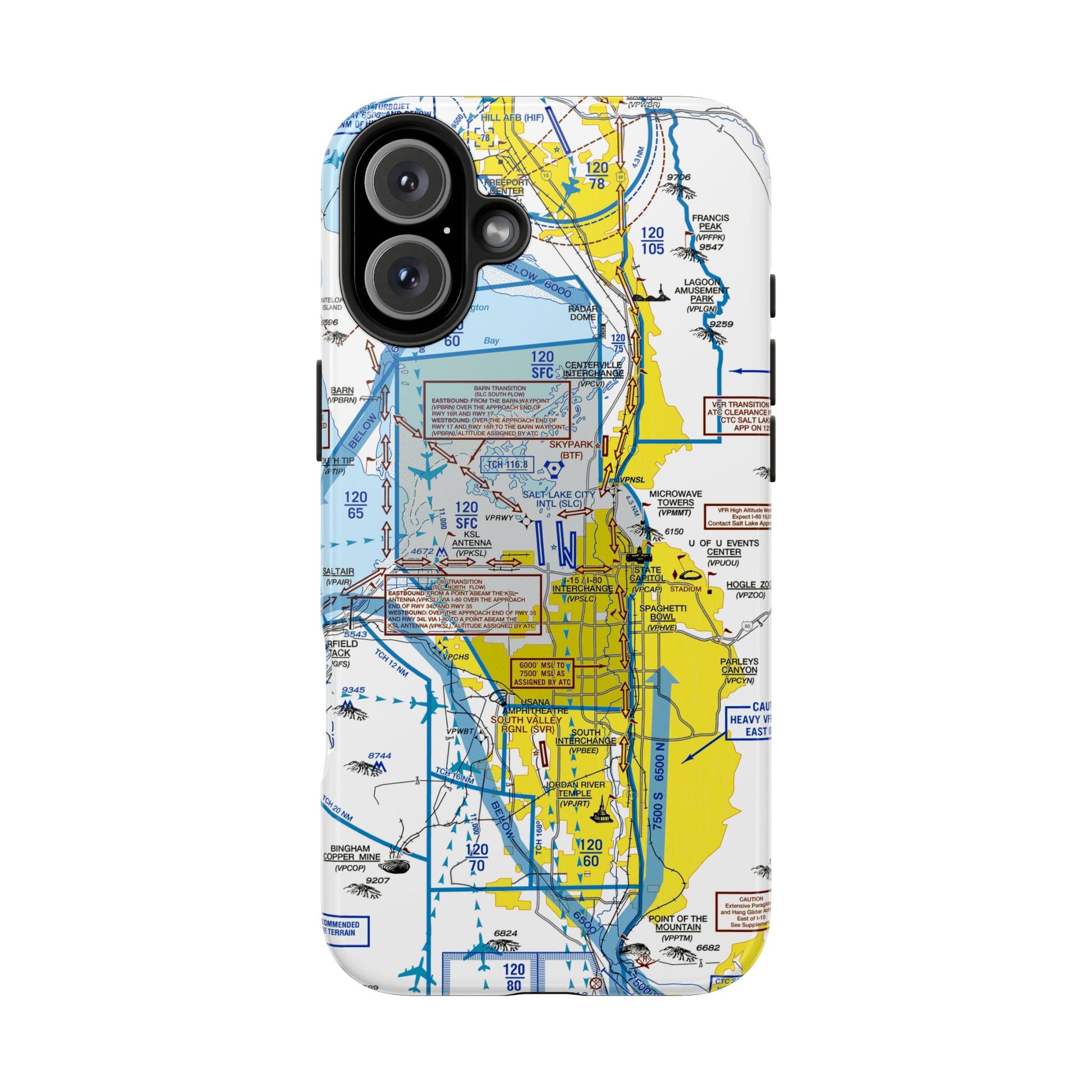 Salt Lake City Flyway Chart tough phone cases
