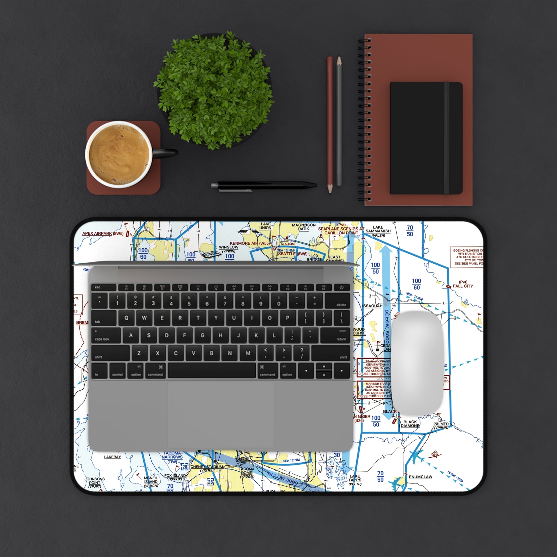 Seattle Flyway Chart desk mat