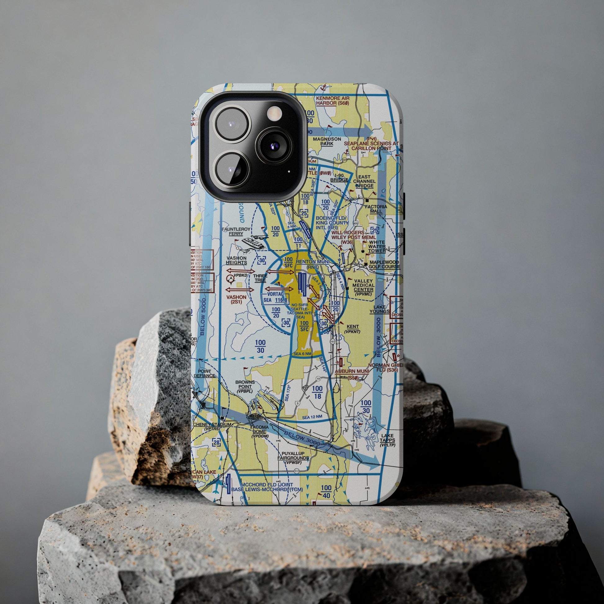 Seattle Flyway Chart tough phone cases
