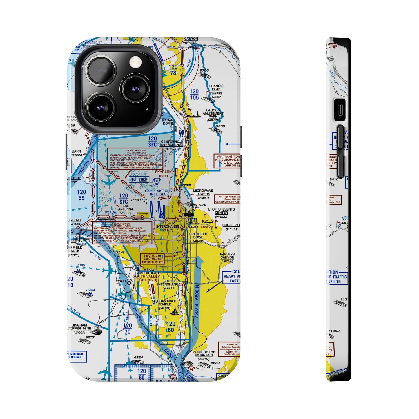 Salt Lake City Flyway Chart tough phone cases