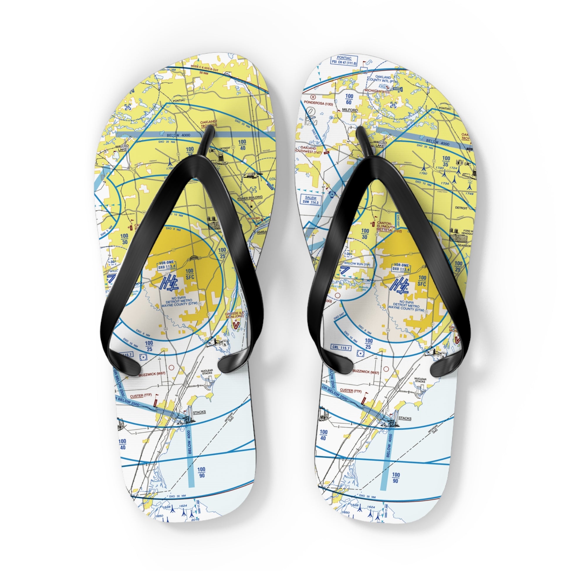 Aeronautical Chart Flip-Flops (DTW Flyway Chart)