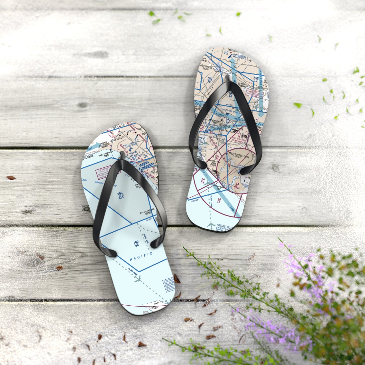 Aeronautical Chart Flip-Flops (LAX Flyway Chart)