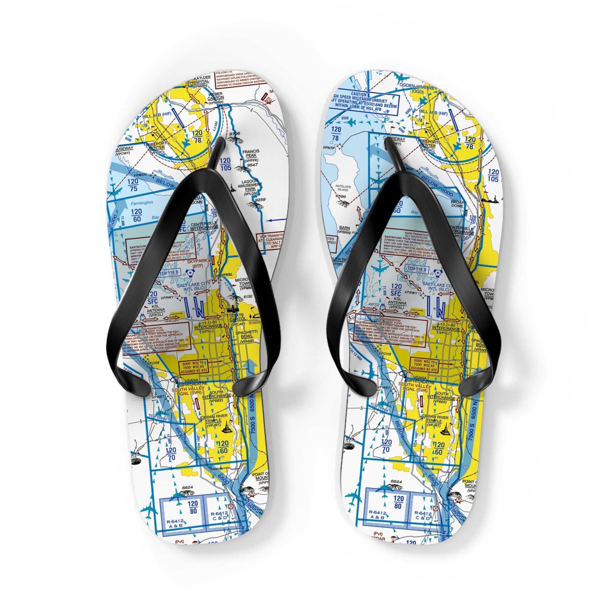 Aeronautical Chart Flip-Flops (SLC Flyway Chart)